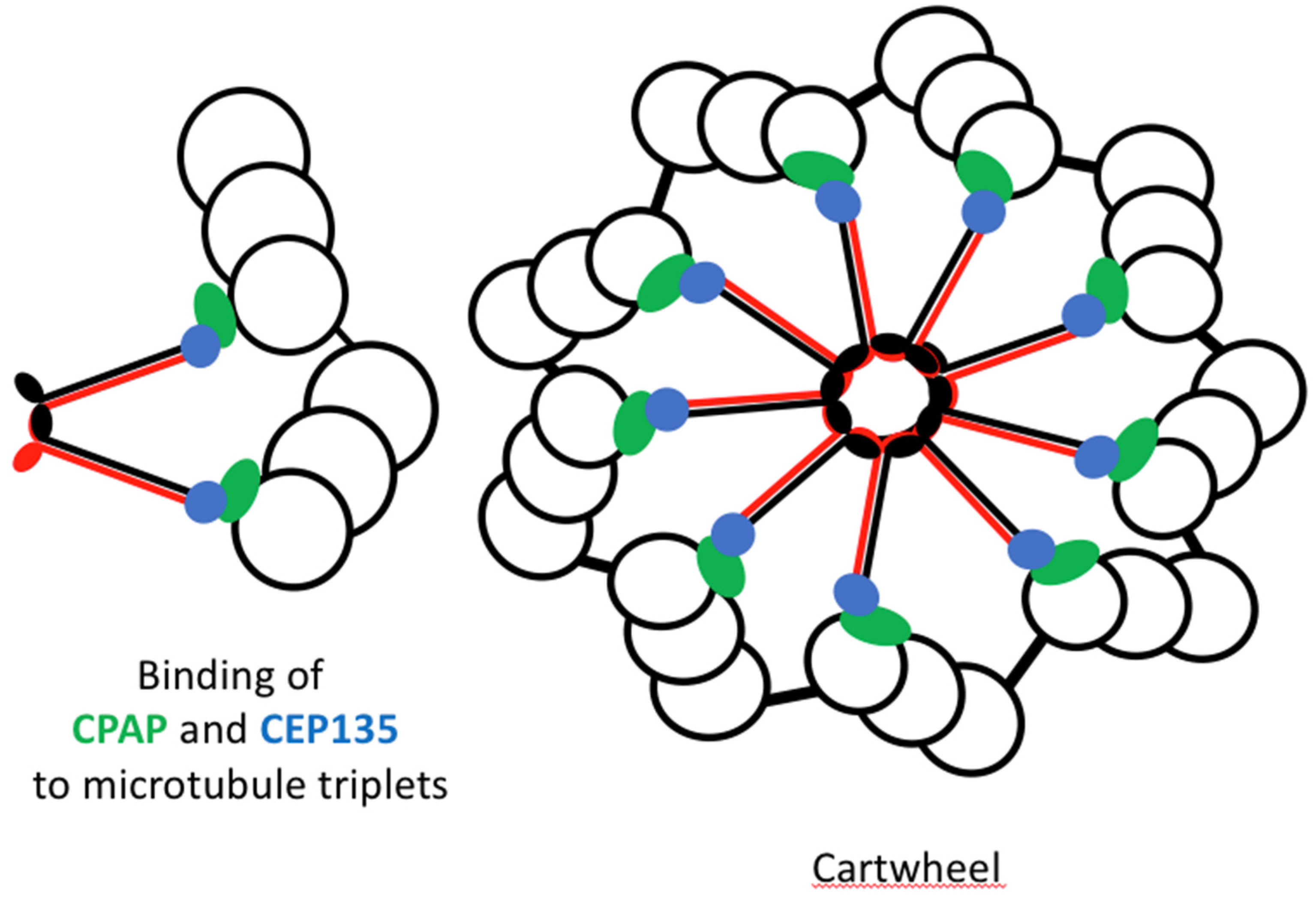 Preprints 157439 g009