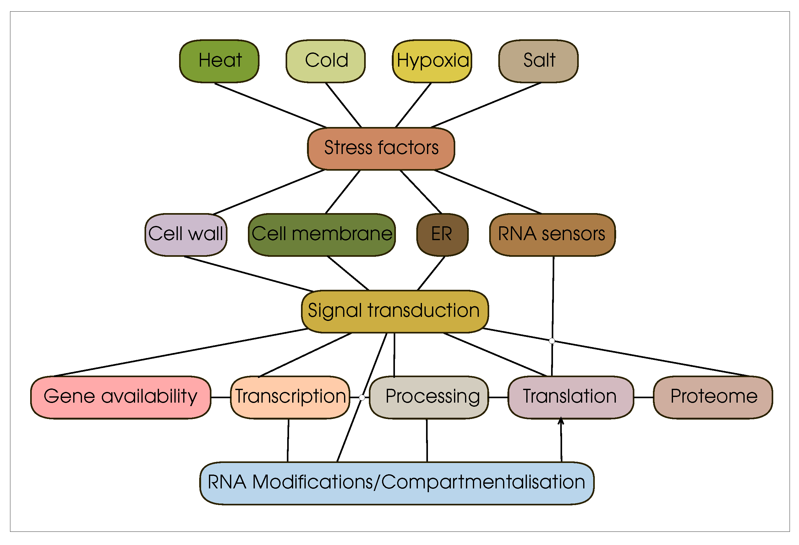 Preprints 80084 g001
