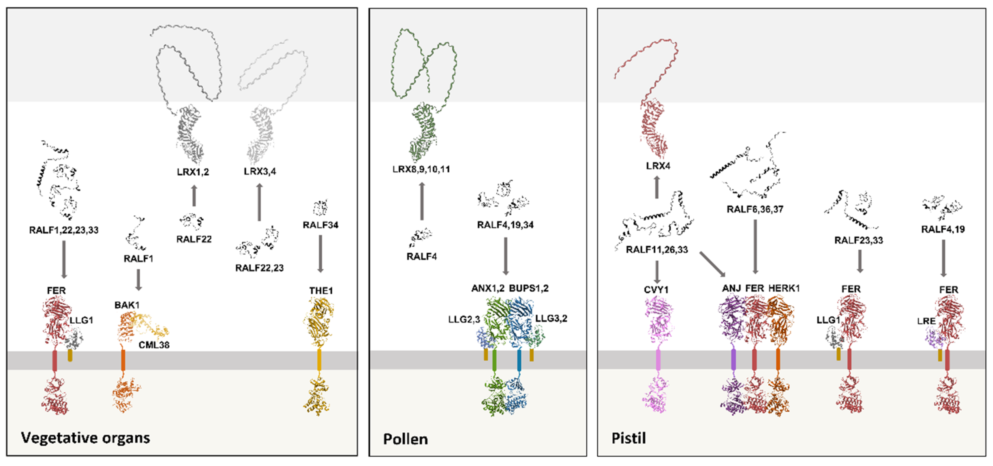 Preprints 197100 g002
