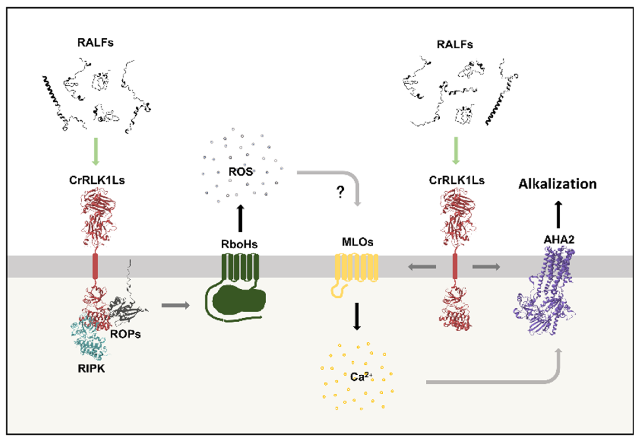 Preprints 197100 g003