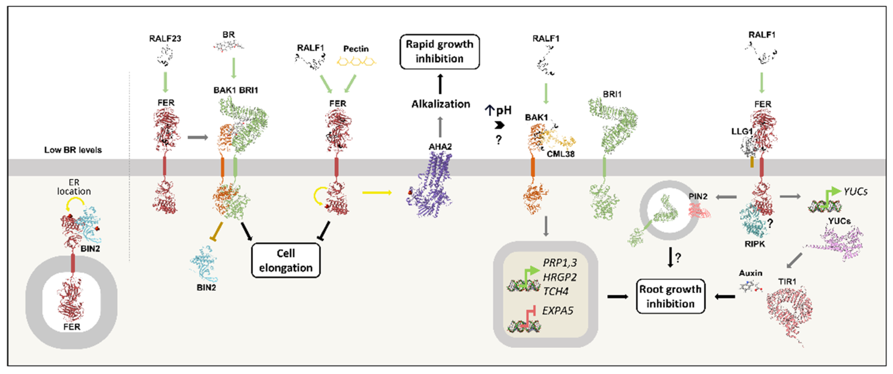 Preprints 197100 g004