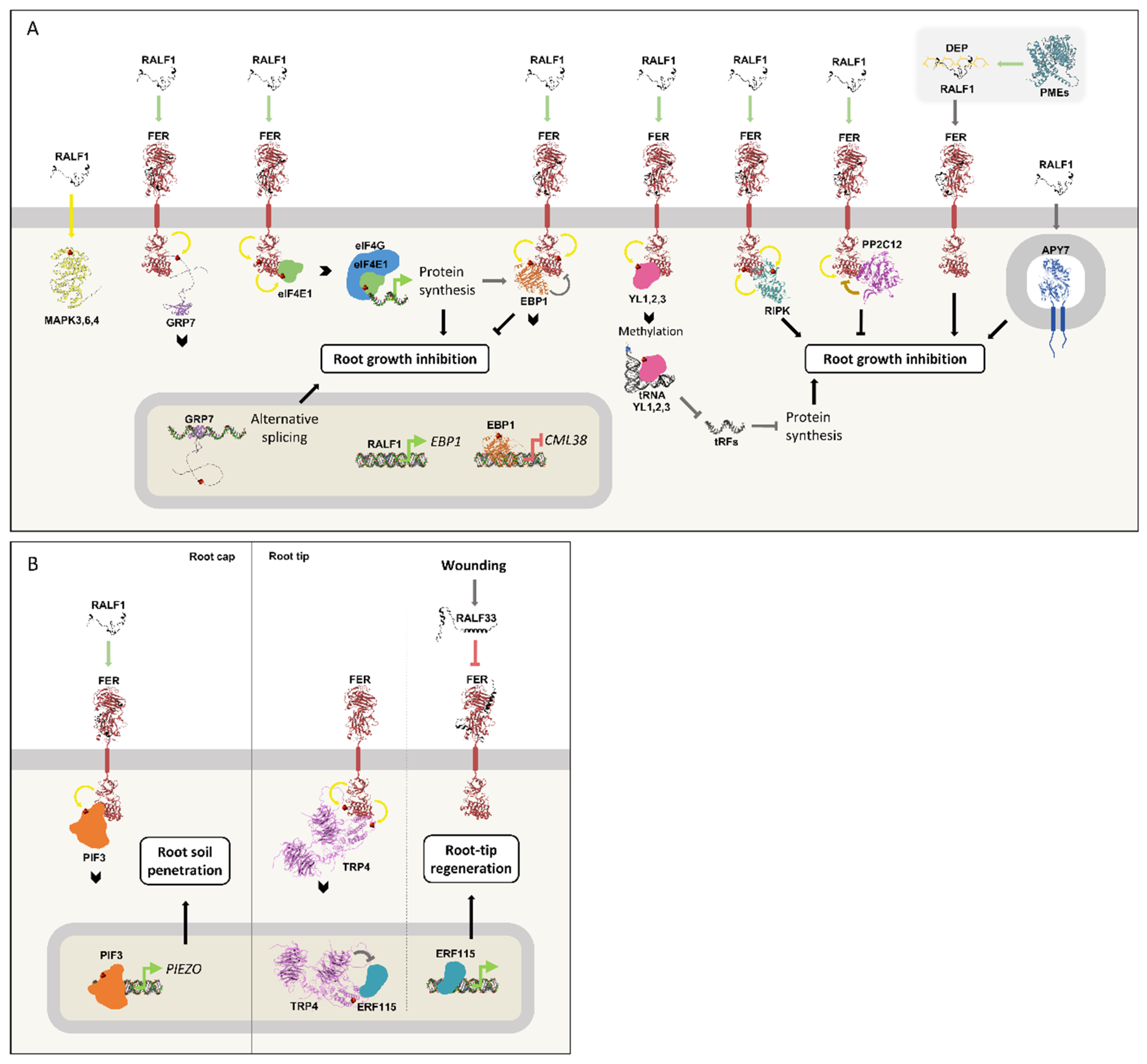 Preprints 197100 g005