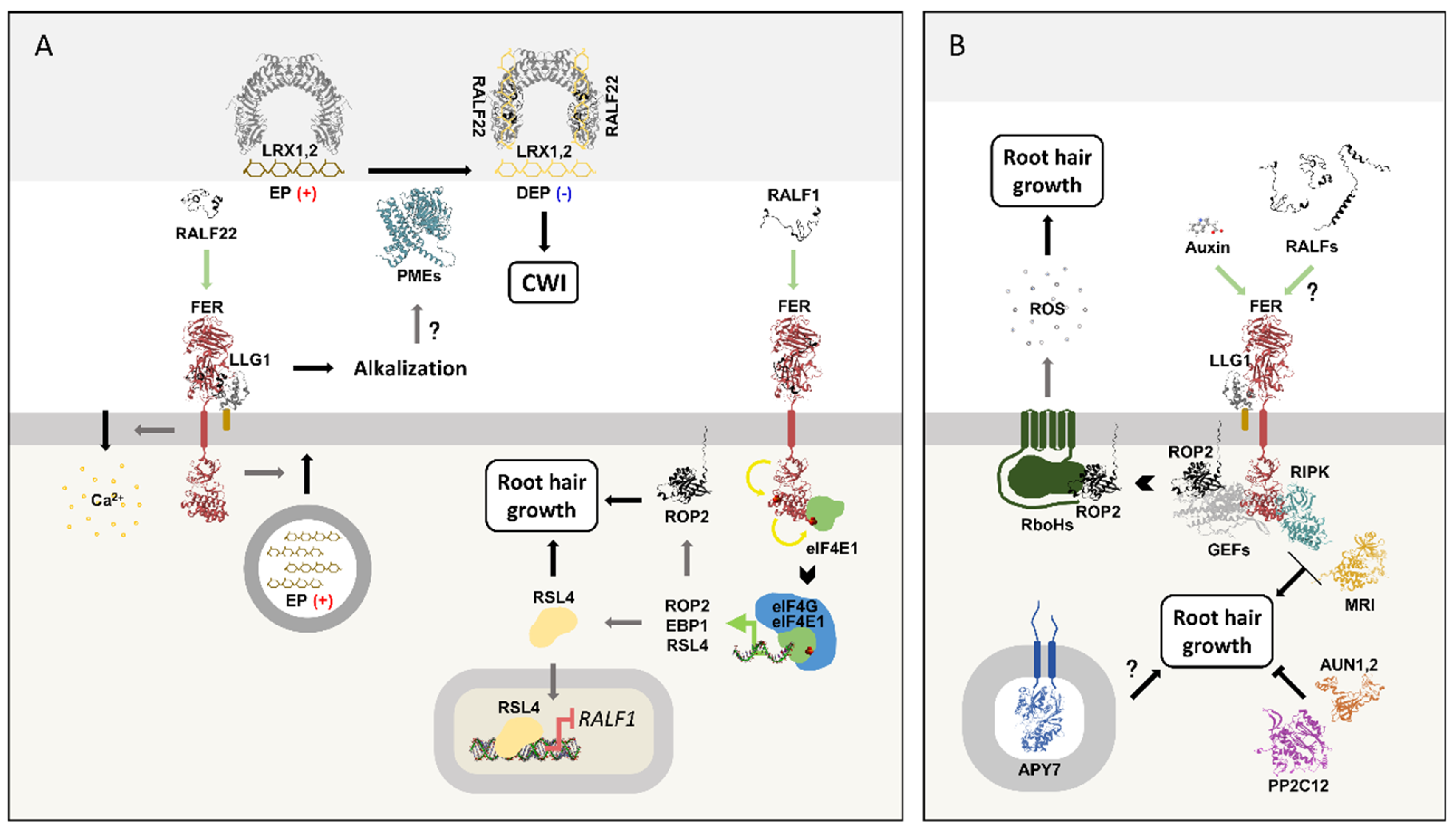 Preprints 197100 g006