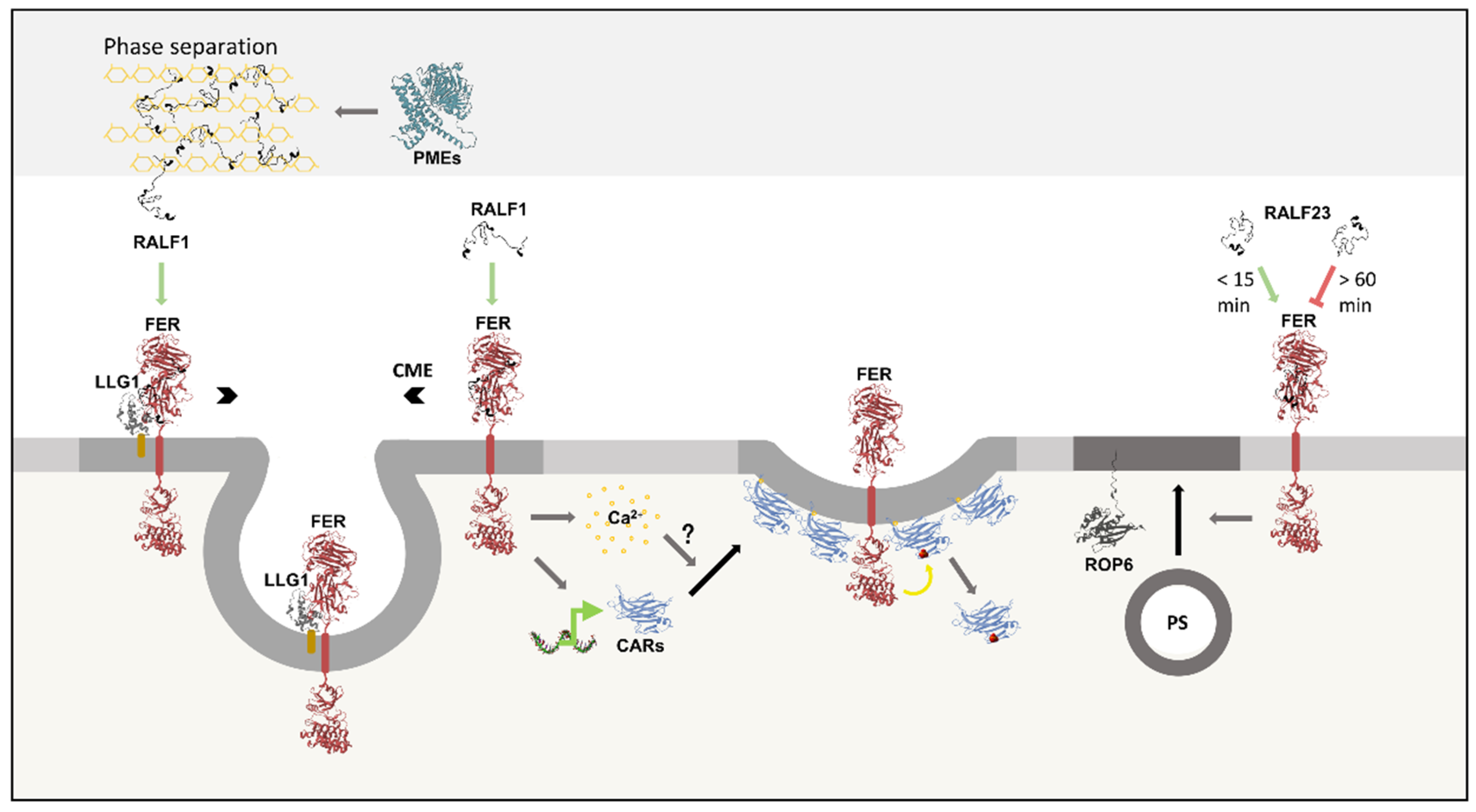 Preprints 197100 g007