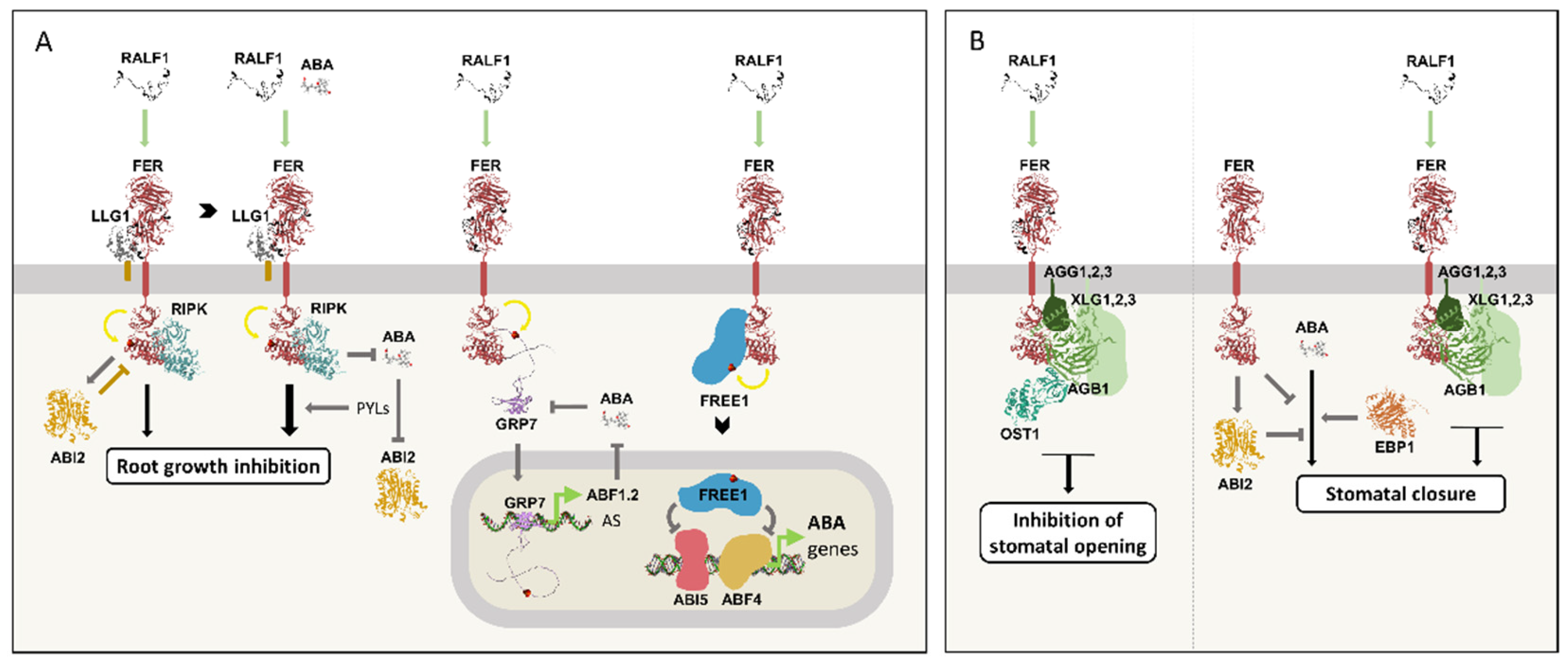 Preprints 197100 g008