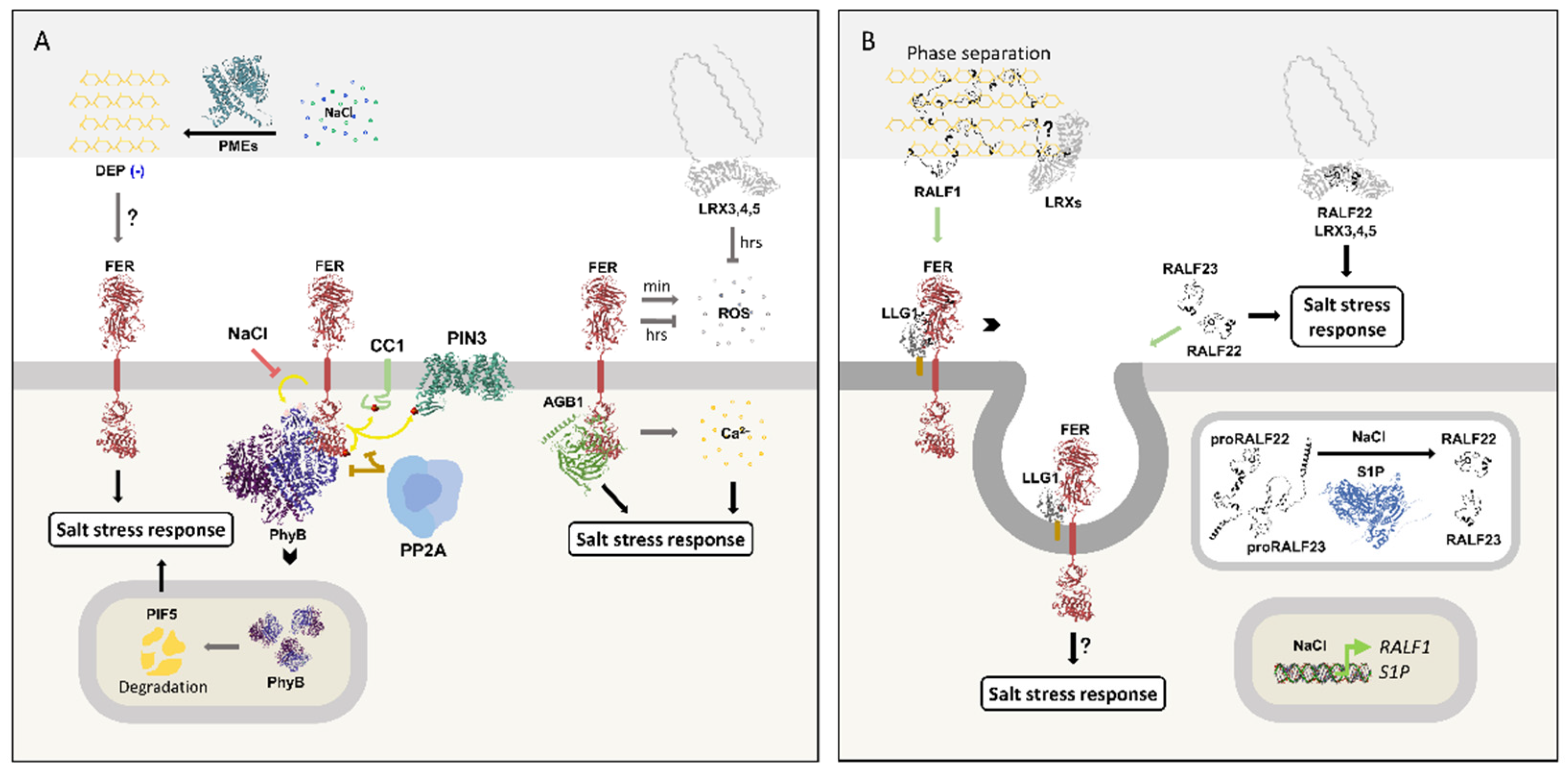 Preprints 197100 g009
