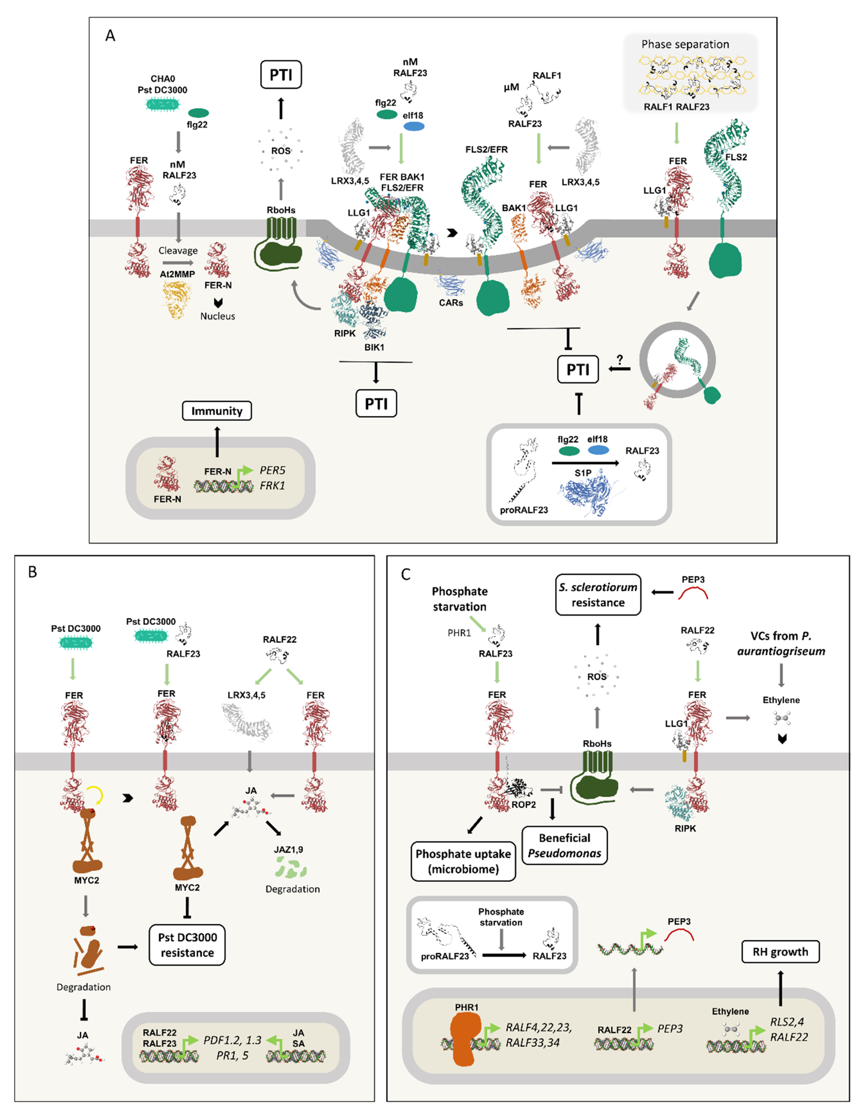 Preprints 197100 g011