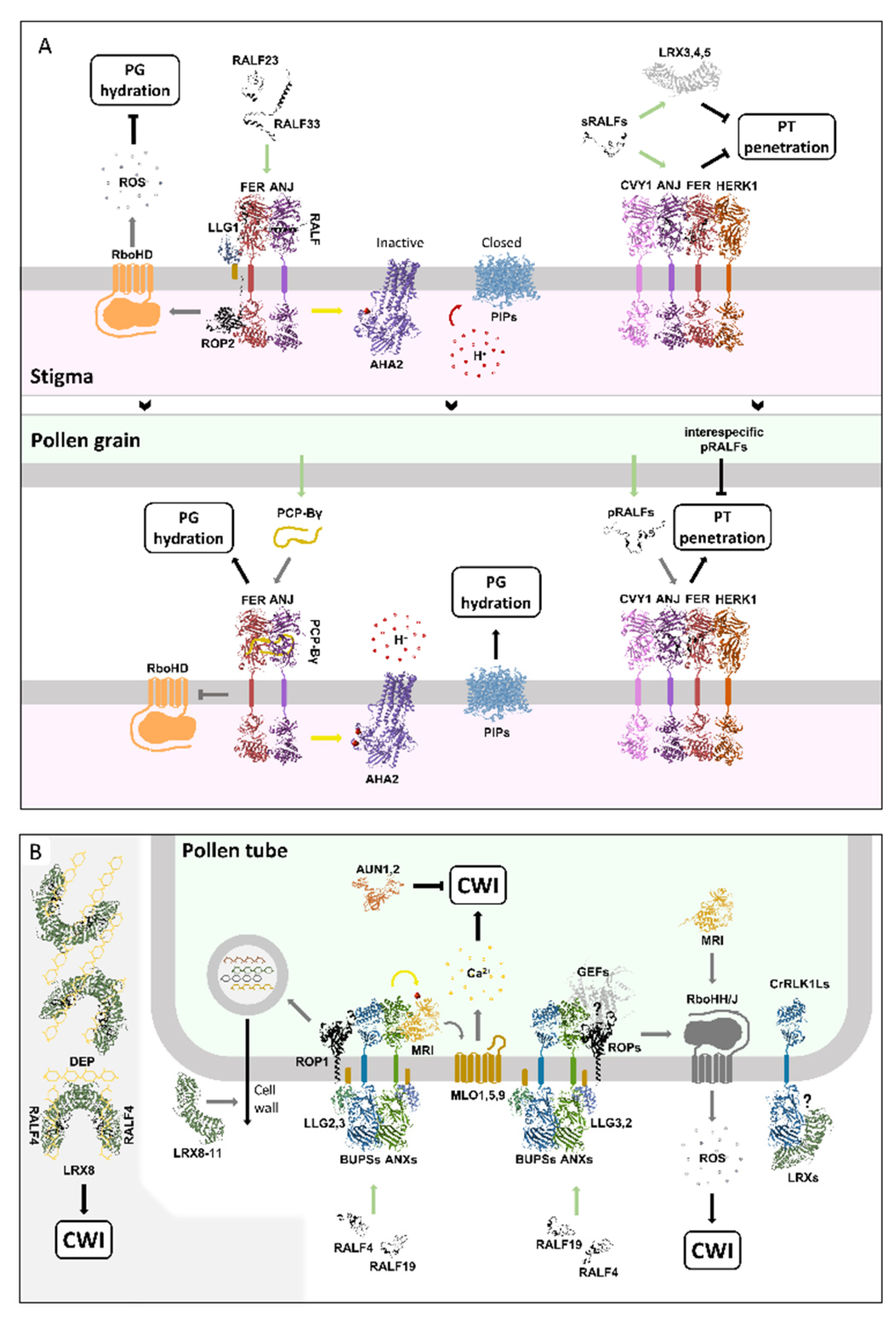 Preprints 197100 g012a