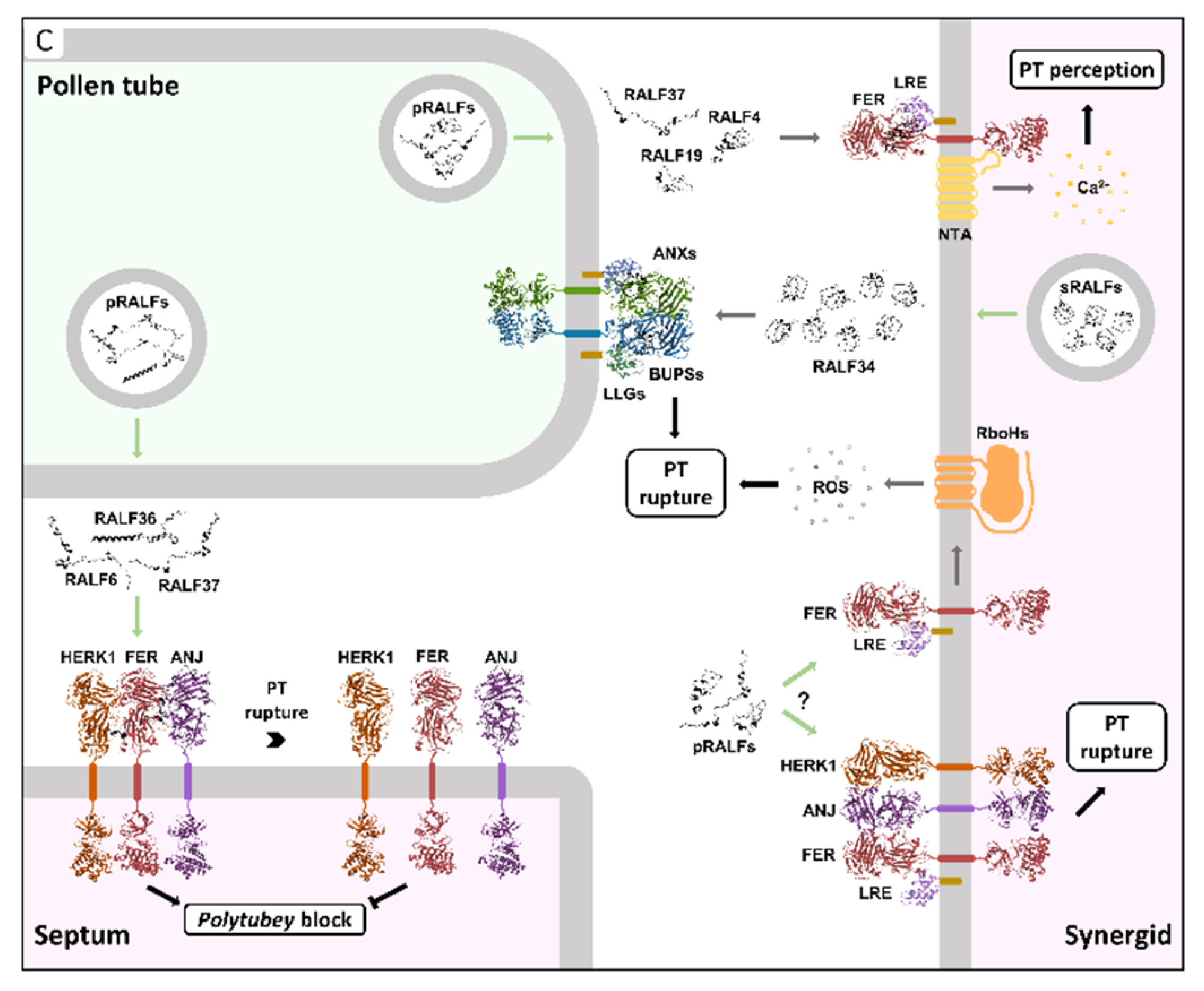Preprints 197100 g012b