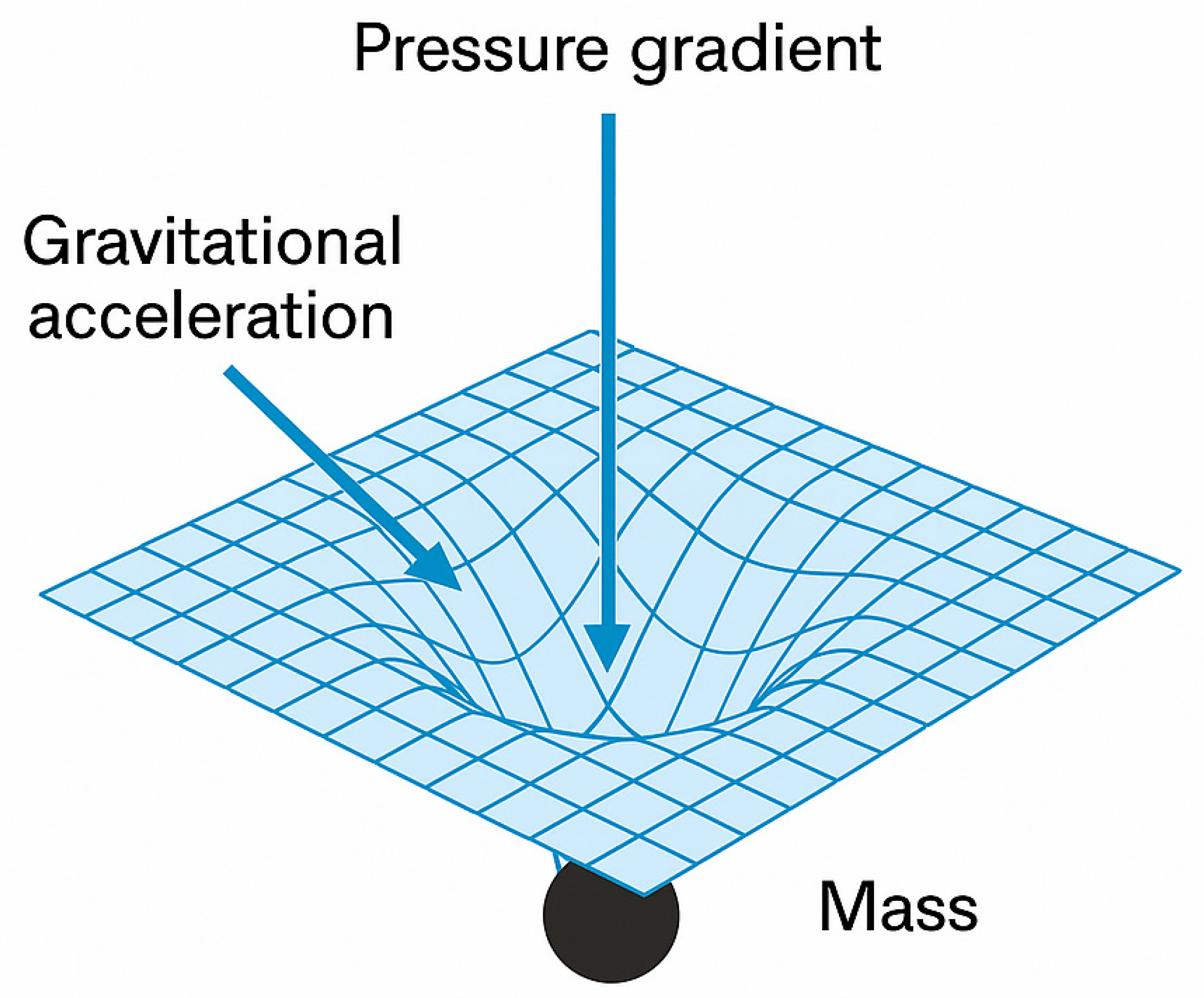 Preprints 159598 g005