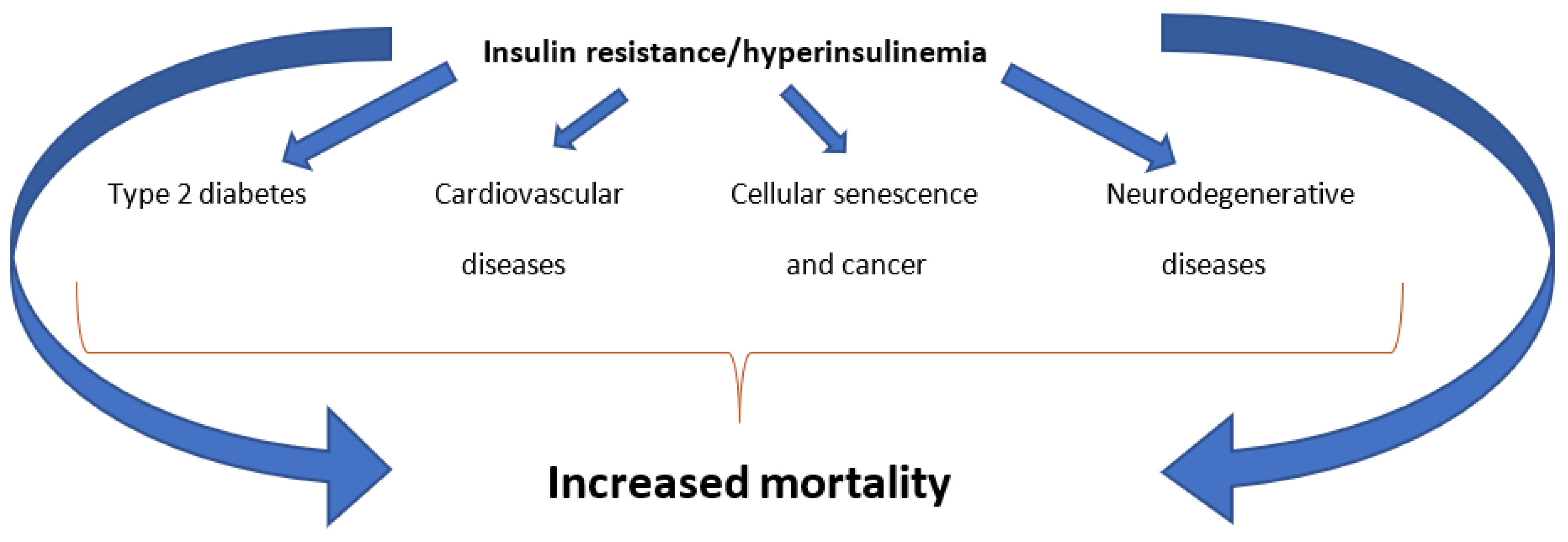 Preprints 147091 g001