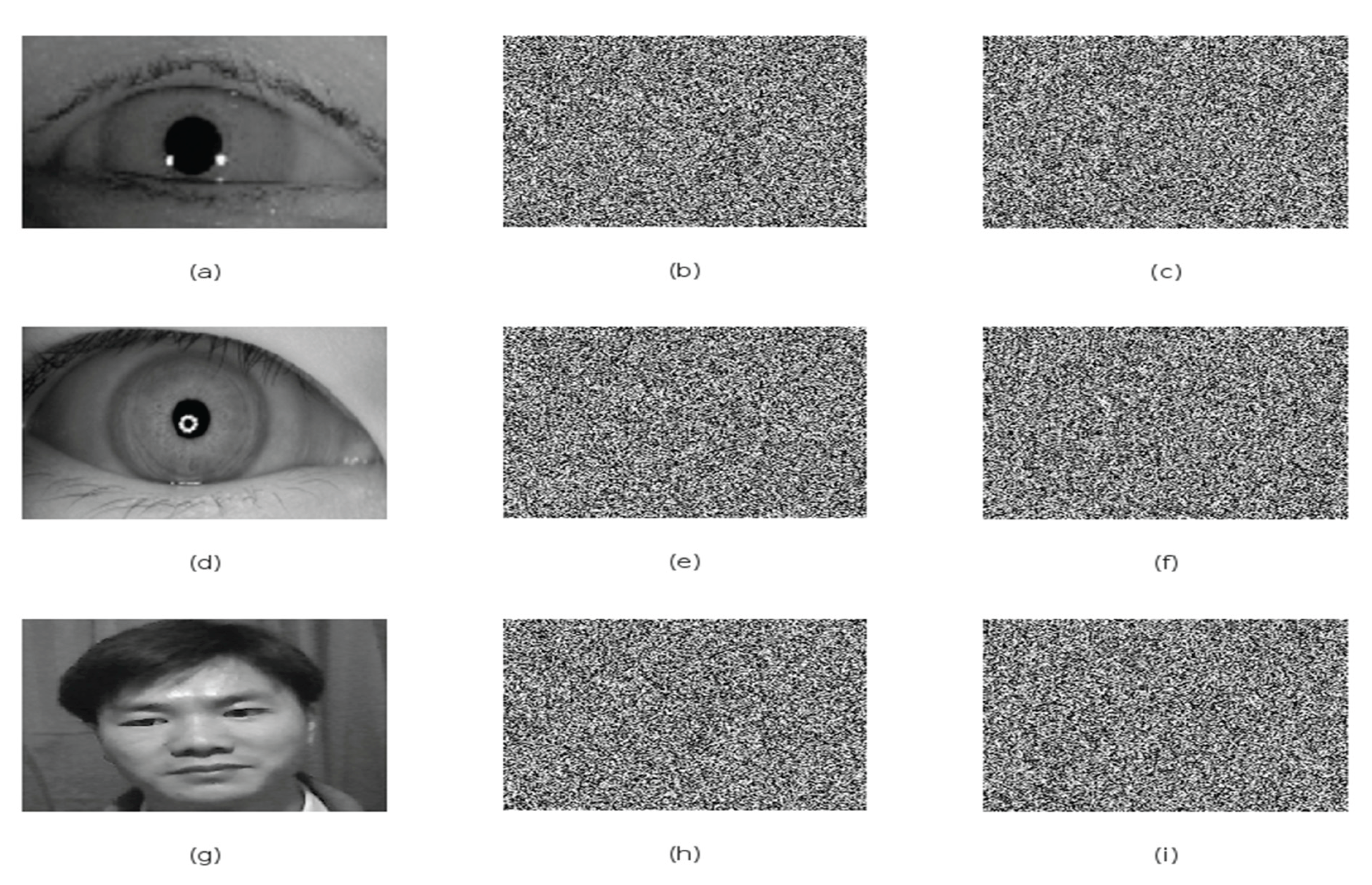 Preprints 160524 g004