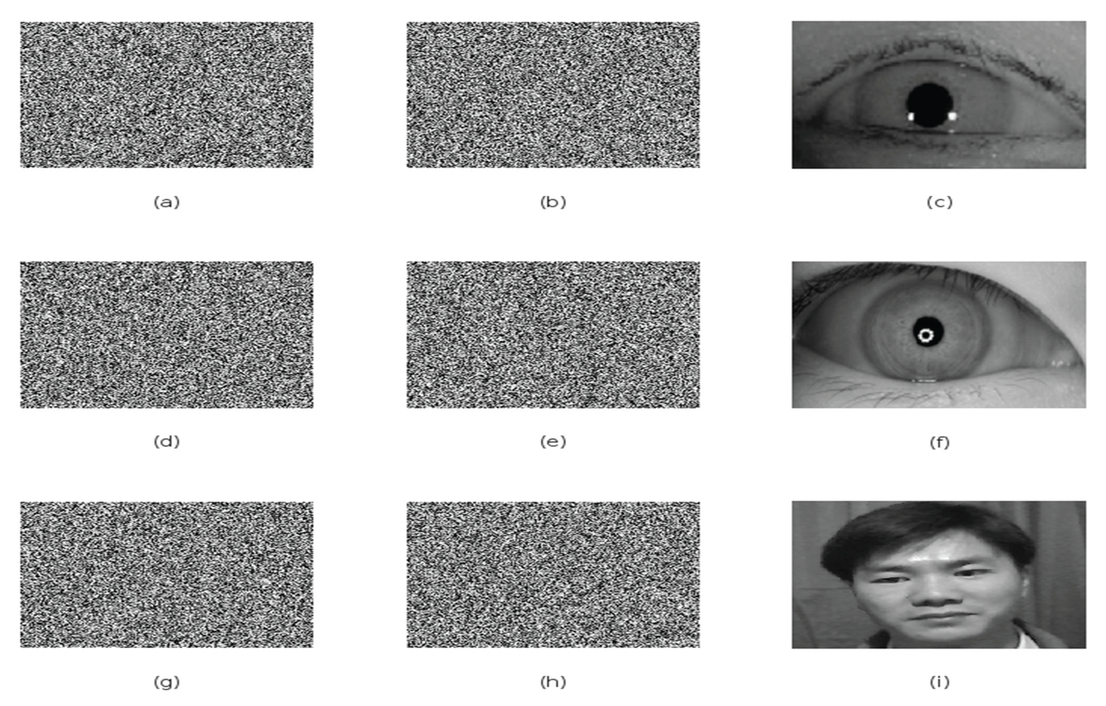 Preprints 160524 g005