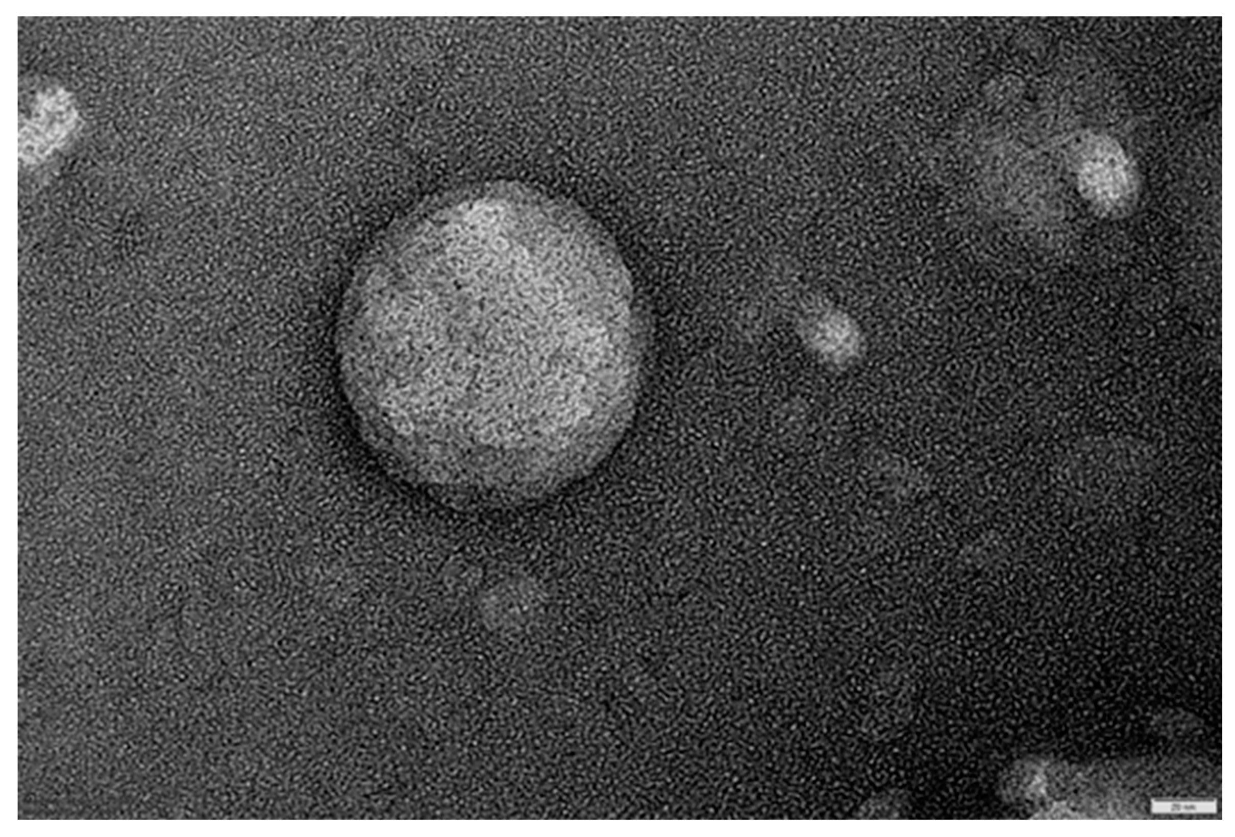 Preprints 201439 g003