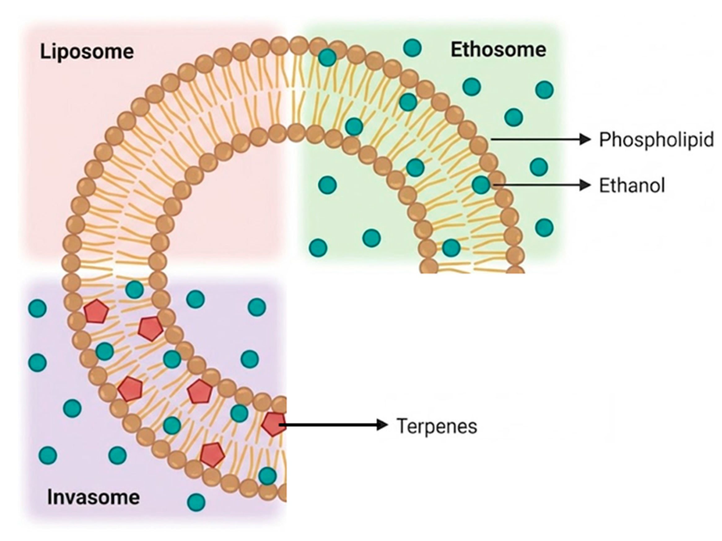 Preprints 201439 g004