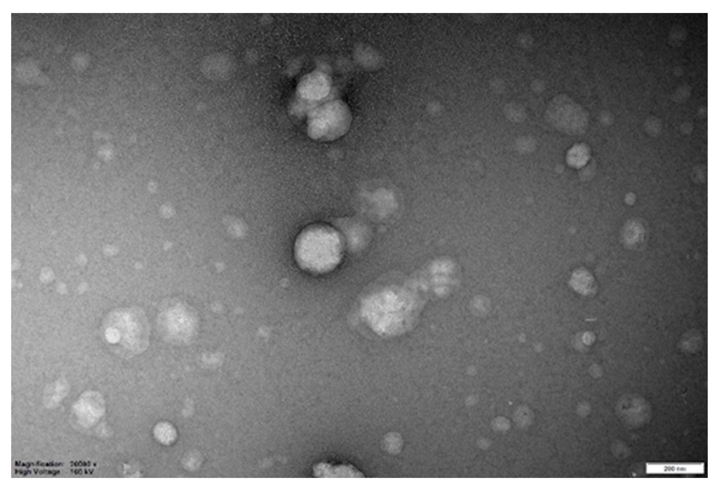 Preprints 201439 g005