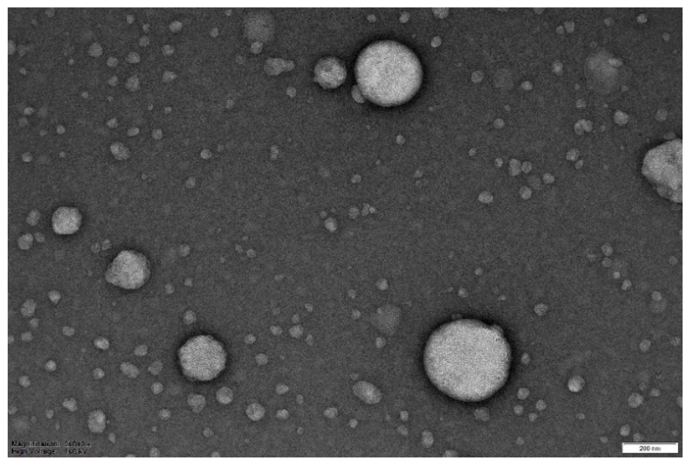 Preprints 201439 g006