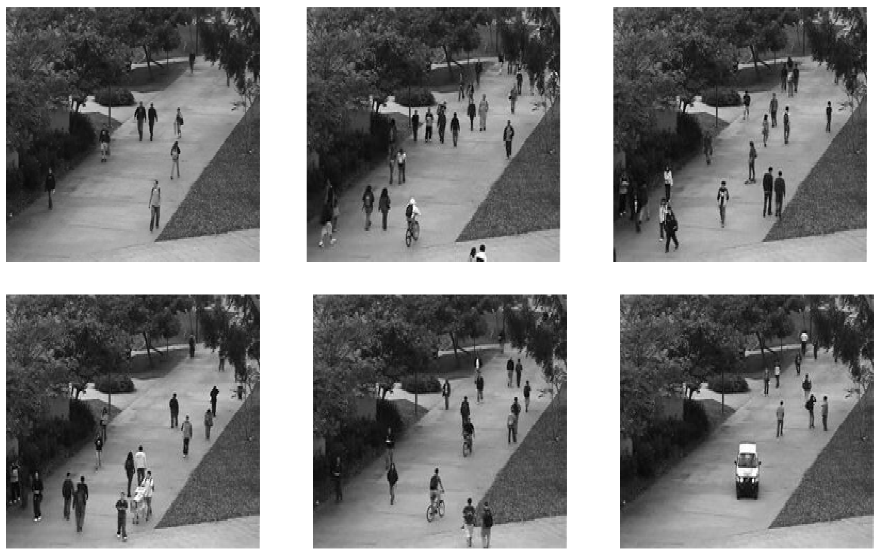 Preprints 74544 g006