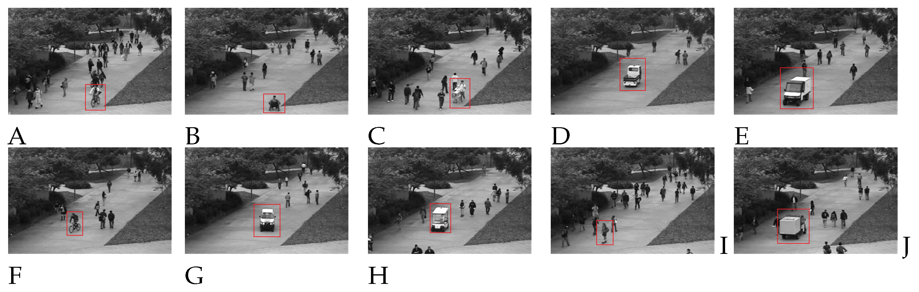 Preprints 74544 g011