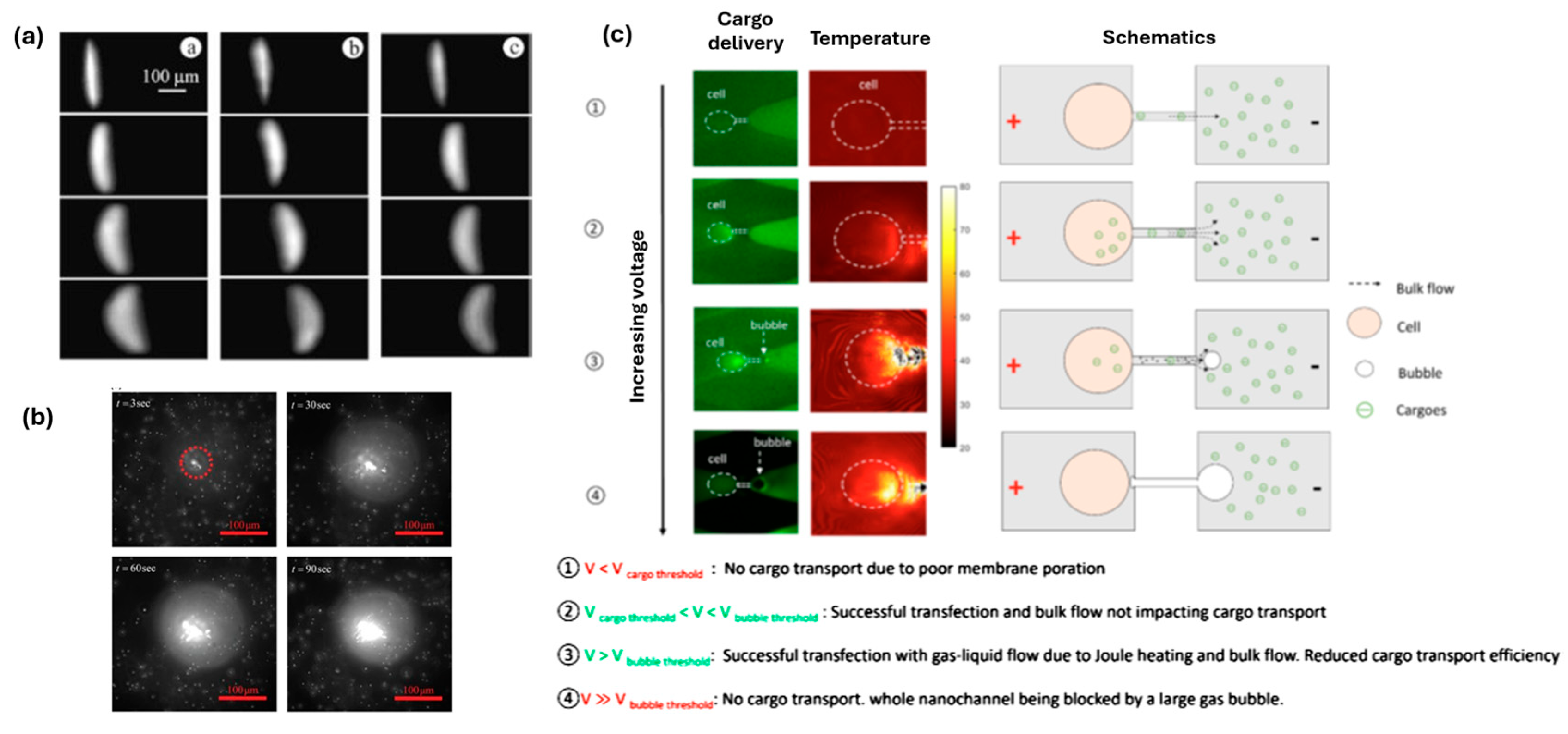Preprints 207919 g005 Preprints 207919 g005