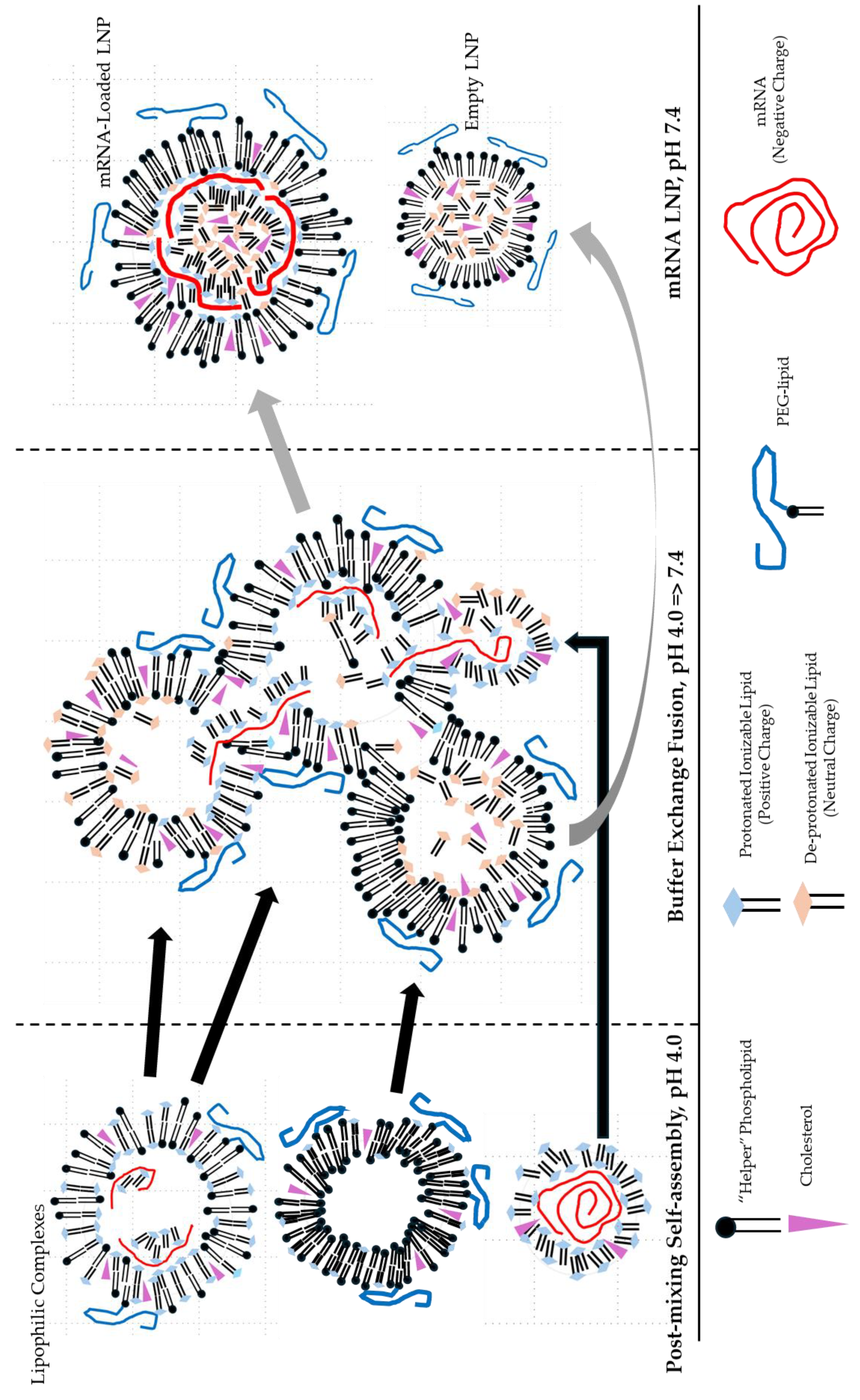 Preprints 172417 g006