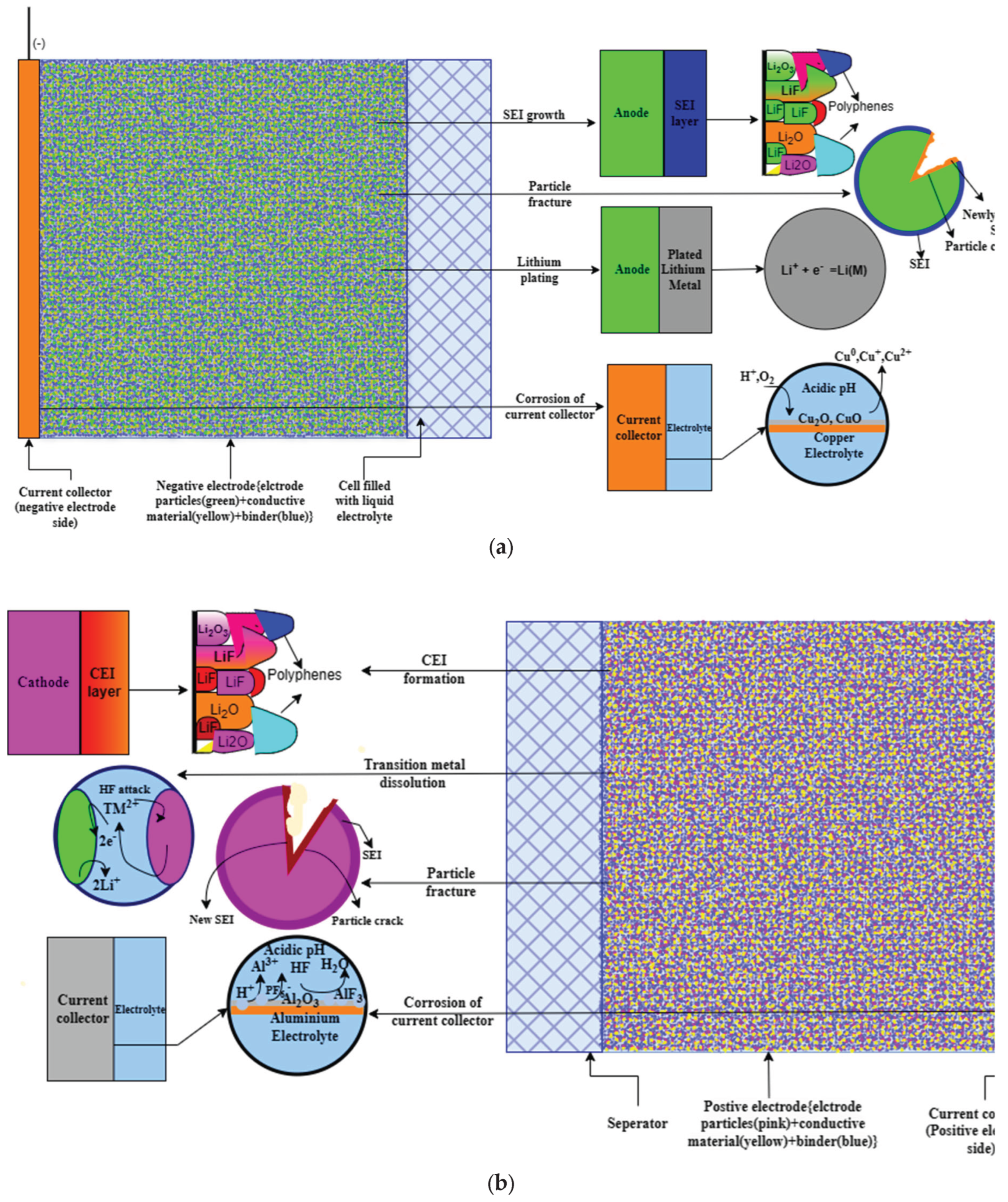 Preprints 213822 g002 Preprints 213822 g002