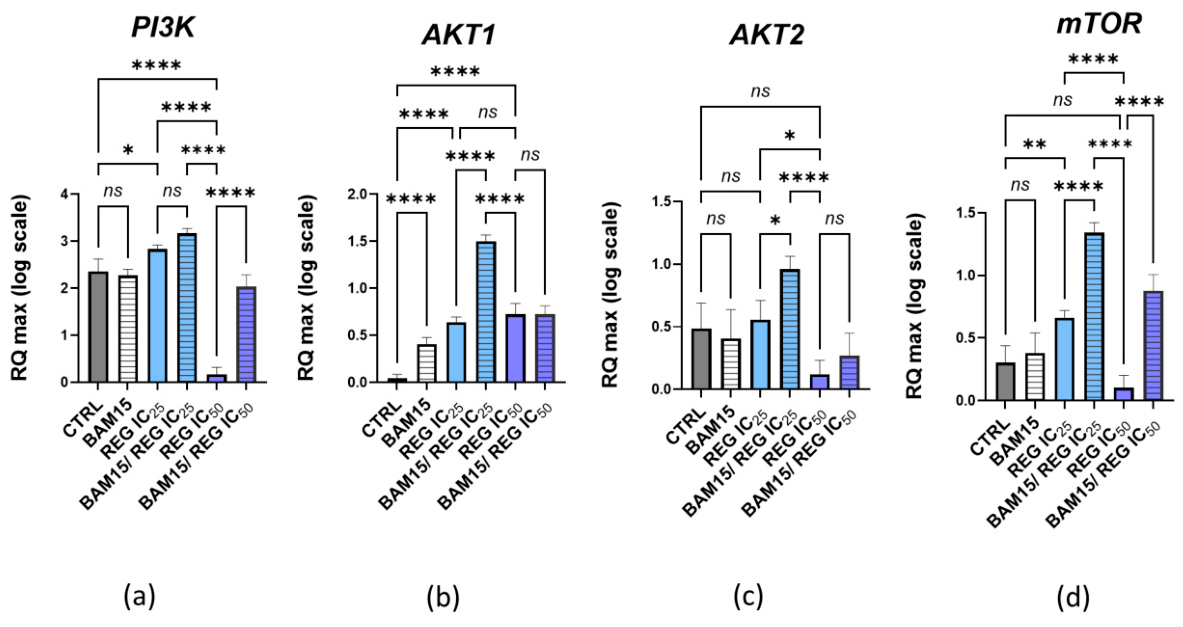 Preprints 228998 g006 Preprints 228998 g006