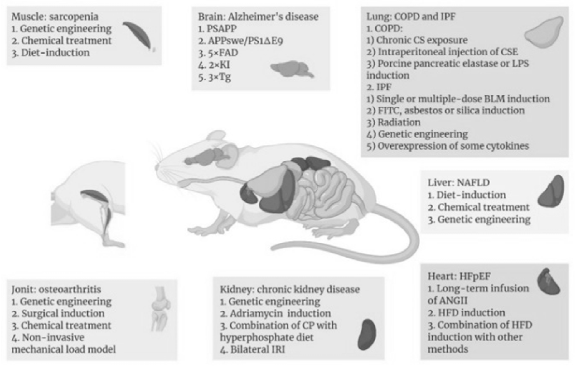 Preprints 168537 g001