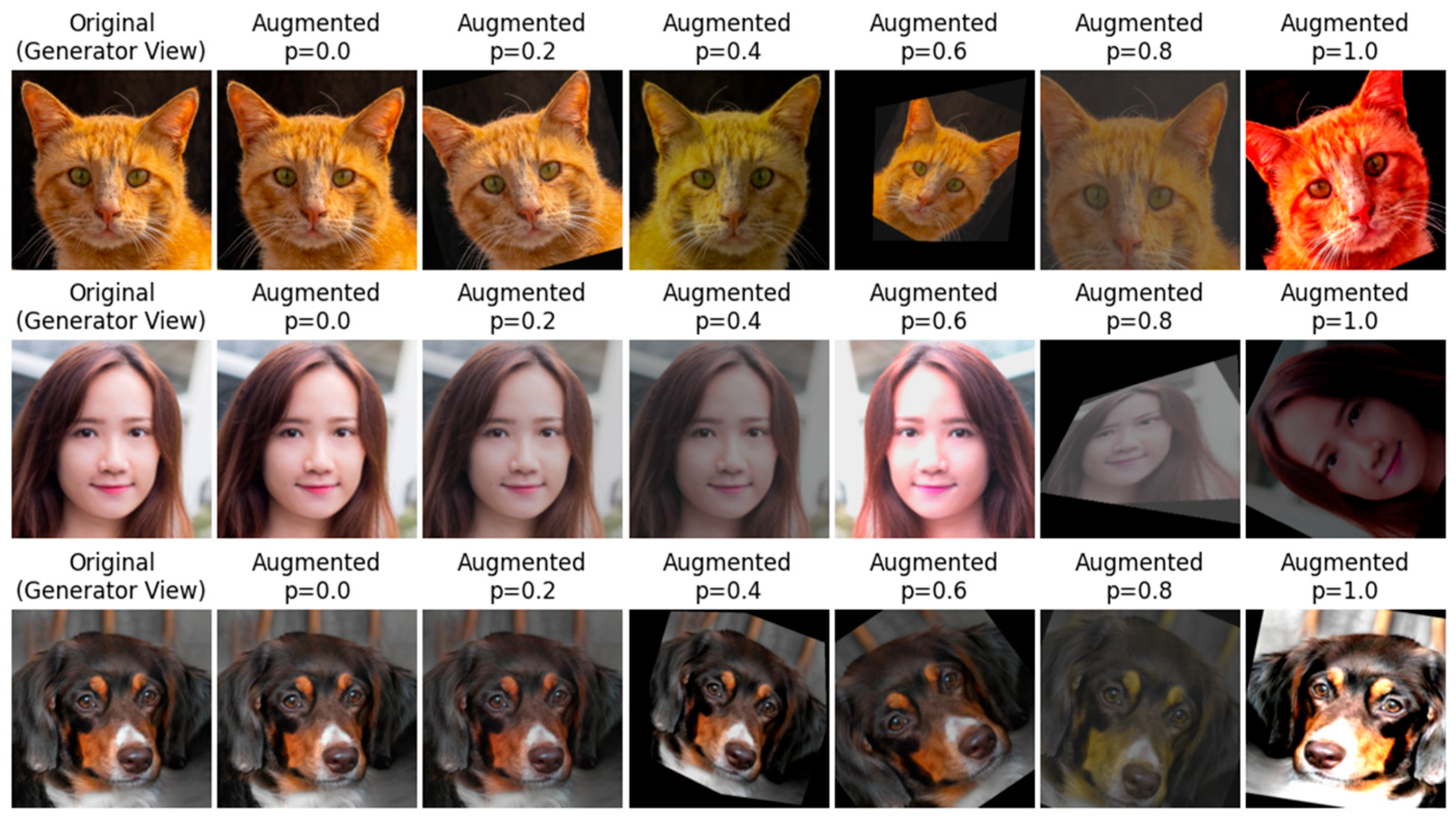 Preprints 166189 g003