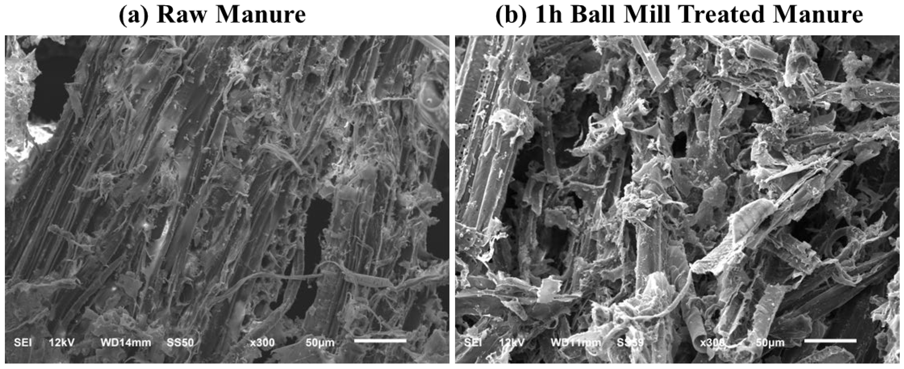 Preprints 143985 g005