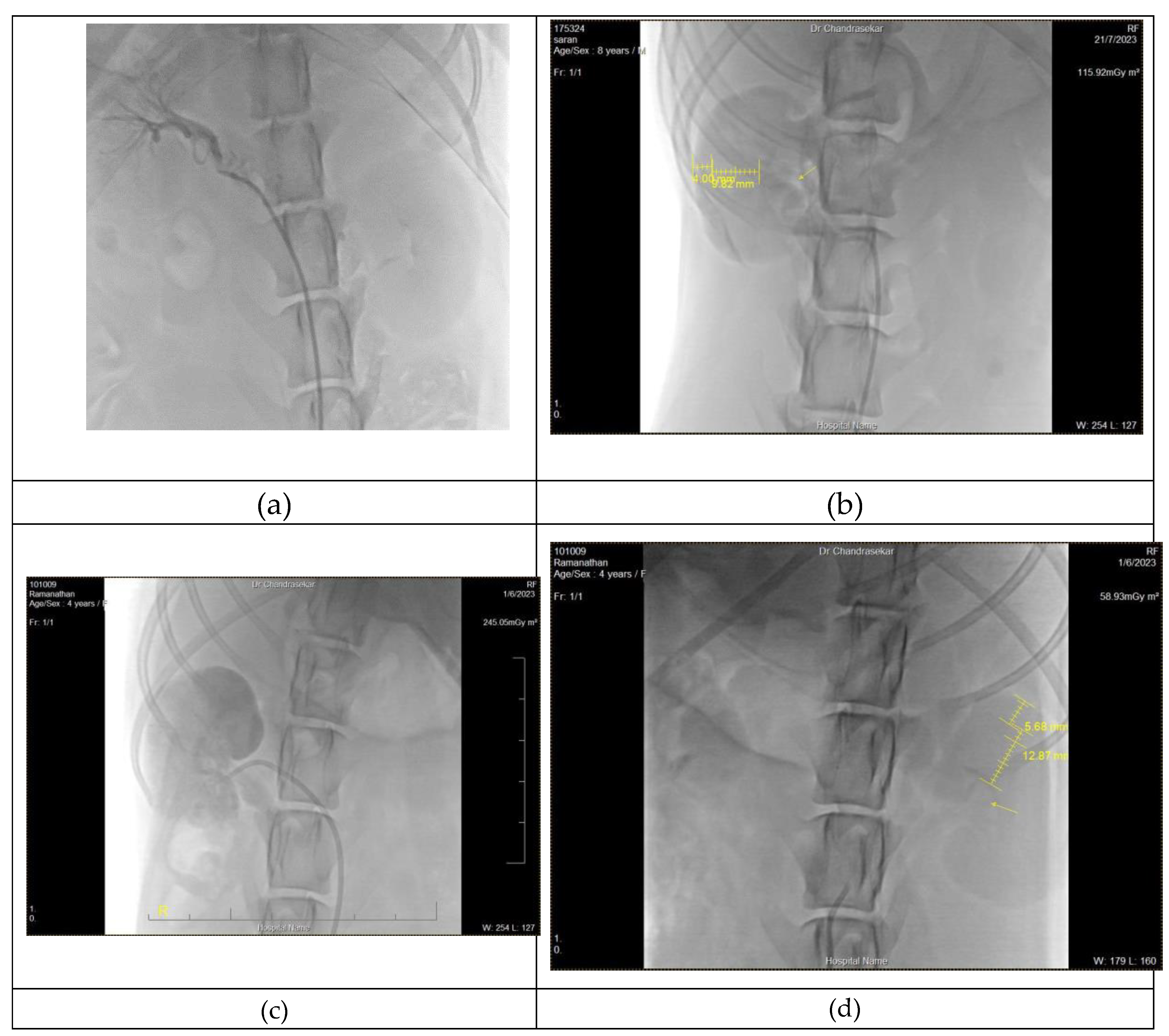 Preprints 90257 g002