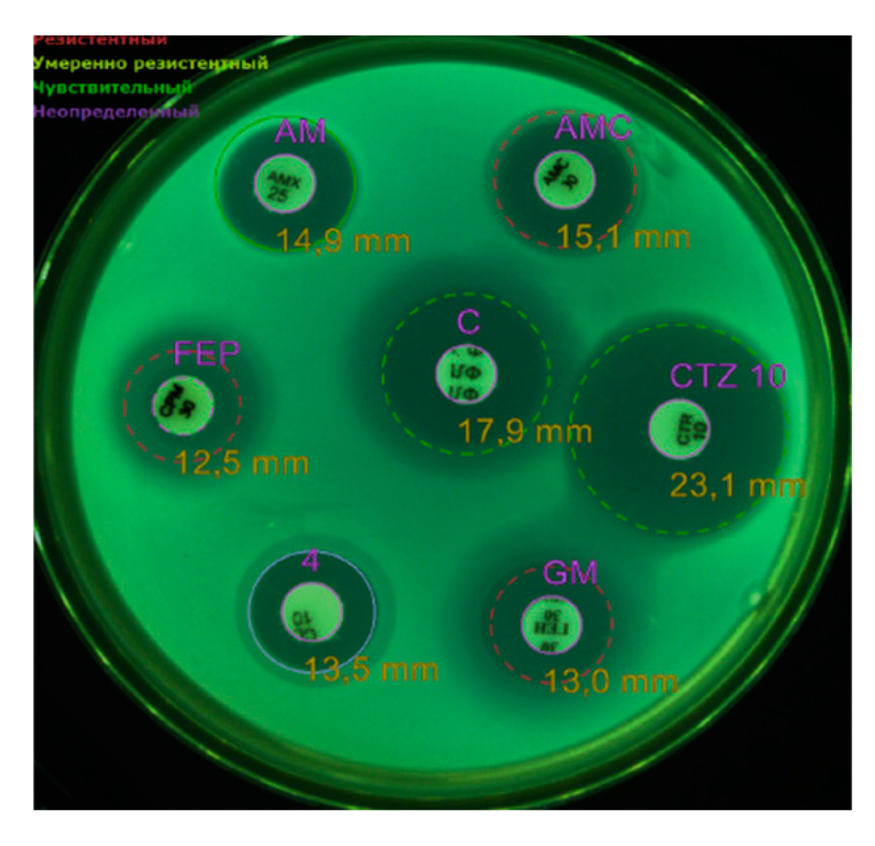 Preprints 147755 g002