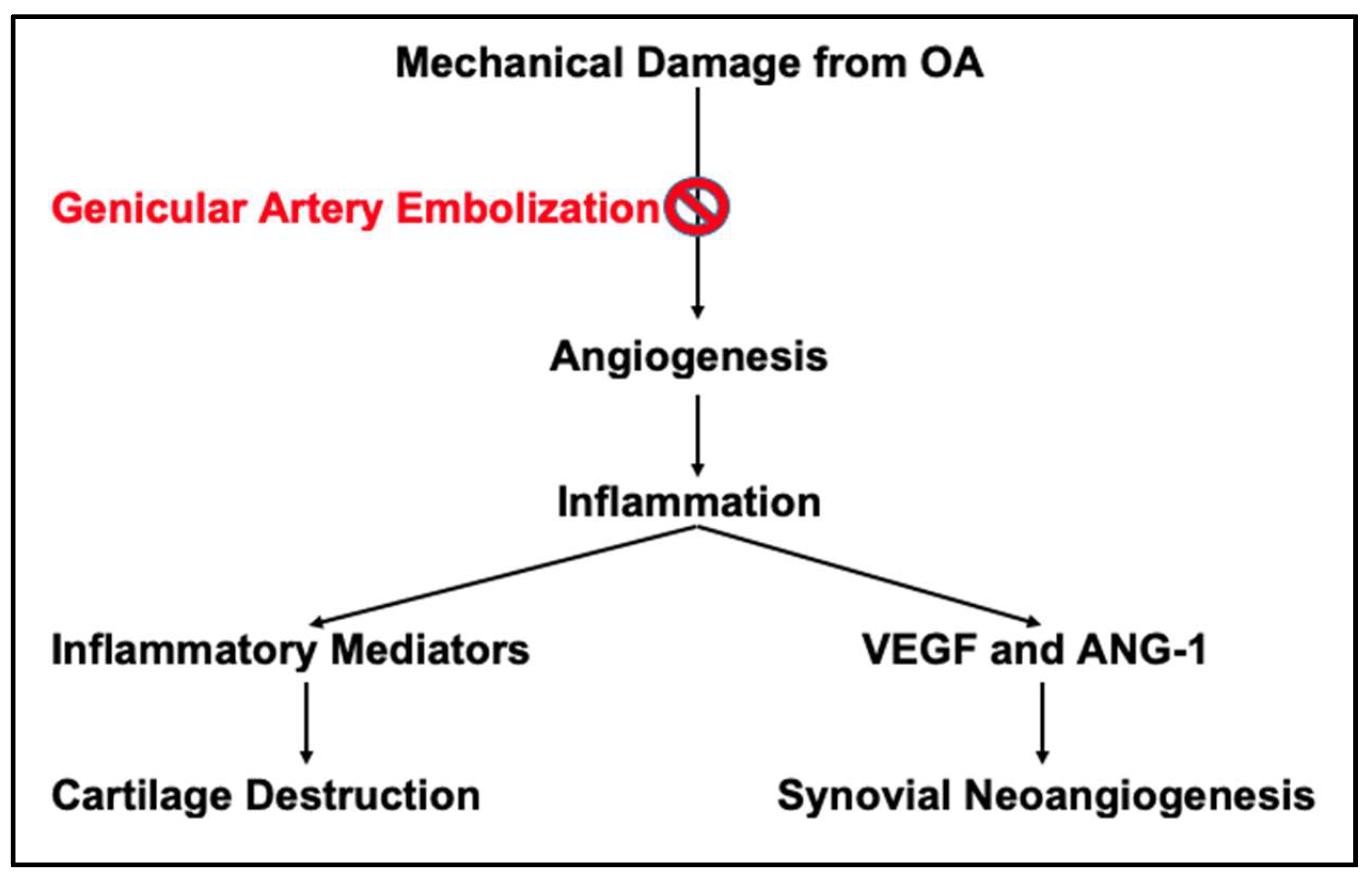Preprints 149432 g001