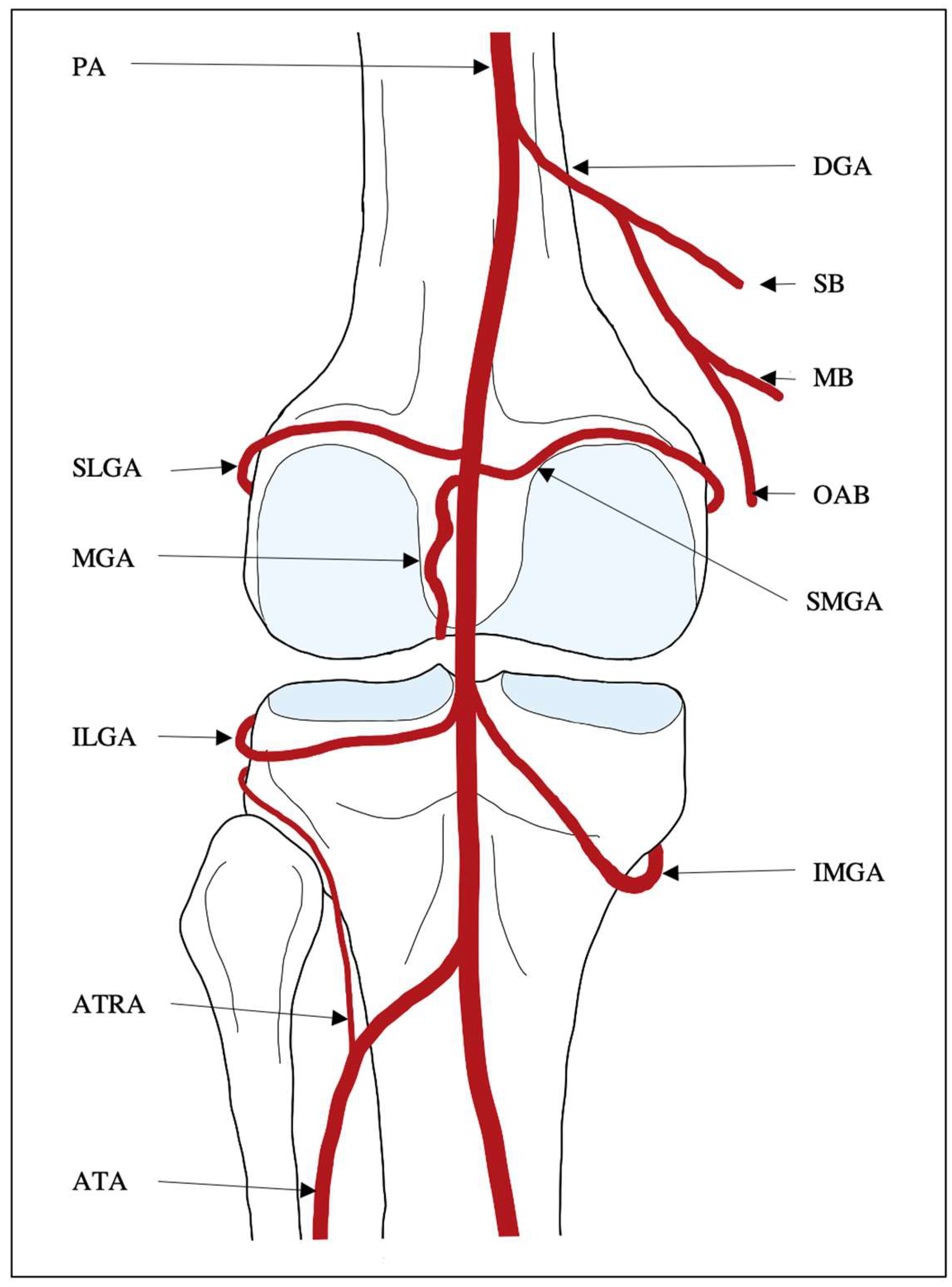 Preprints 149432 g002