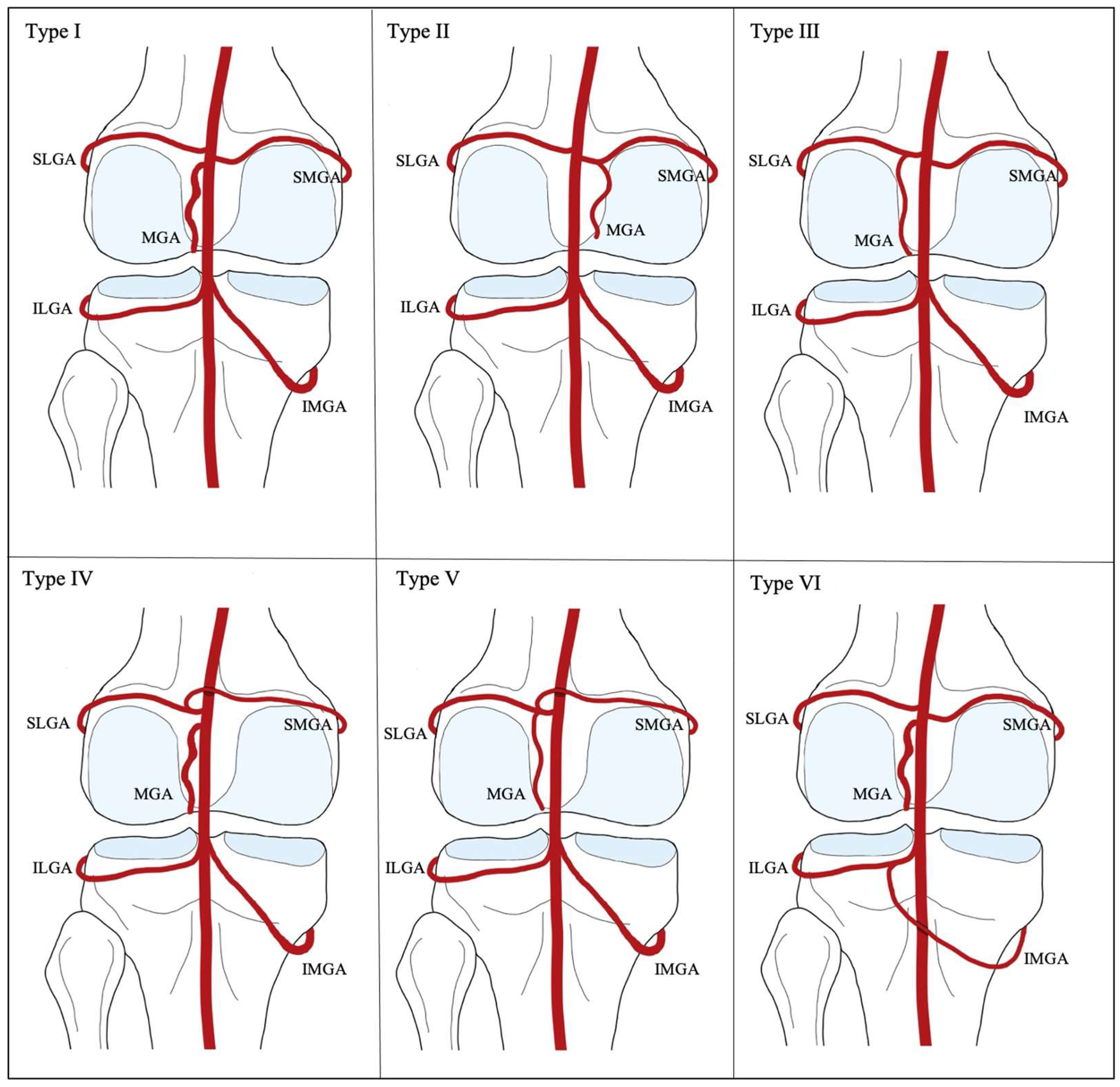 Preprints 149432 g003