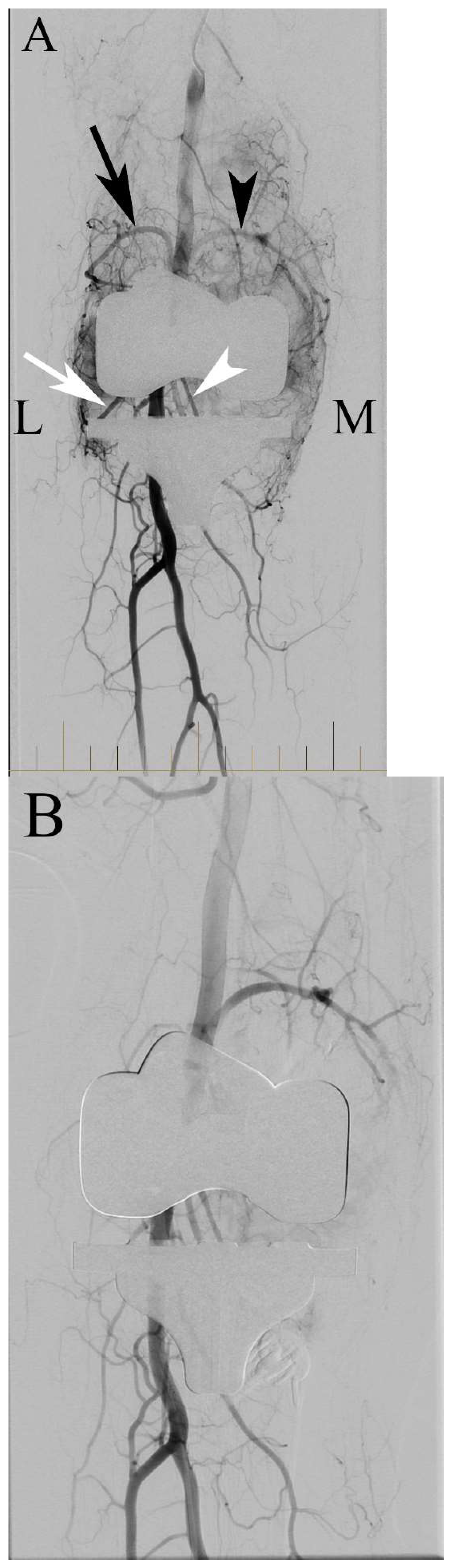 Preprints 149432 g005