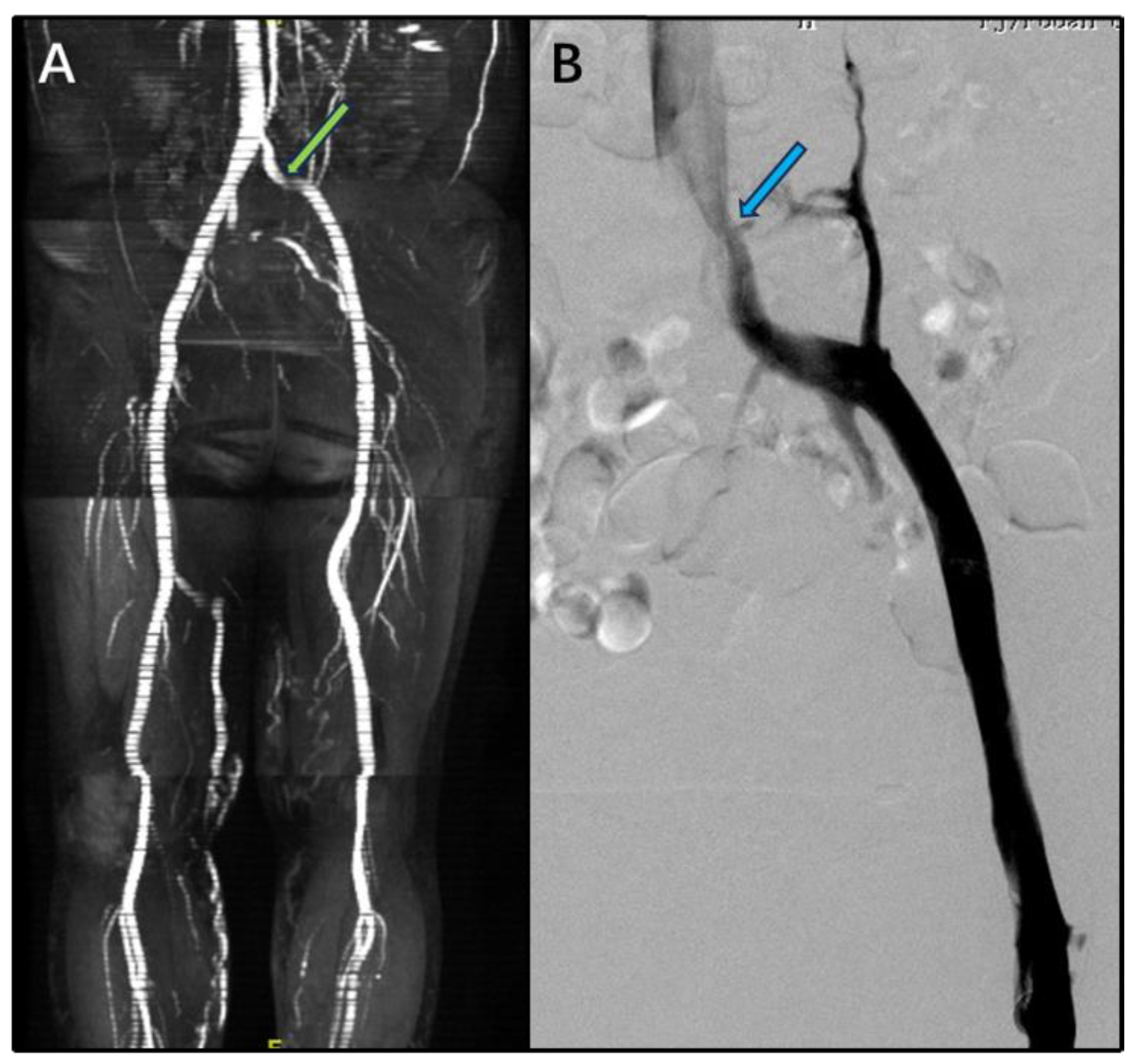 Preprints 201635 g002