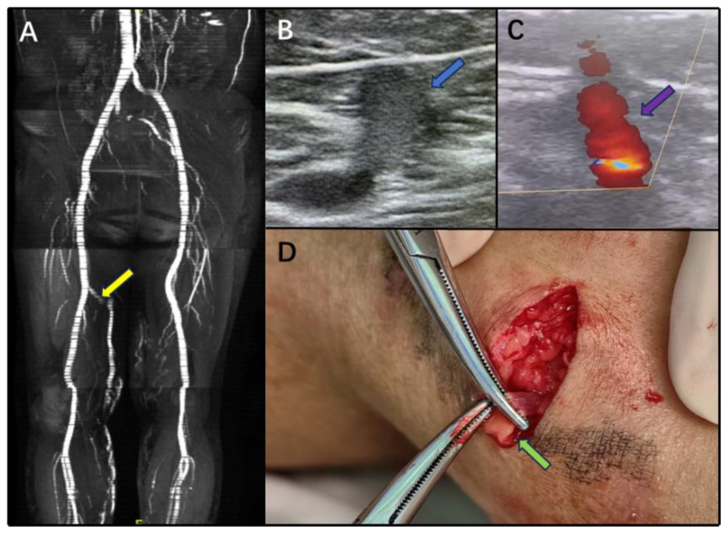 Preprints 201635 g003