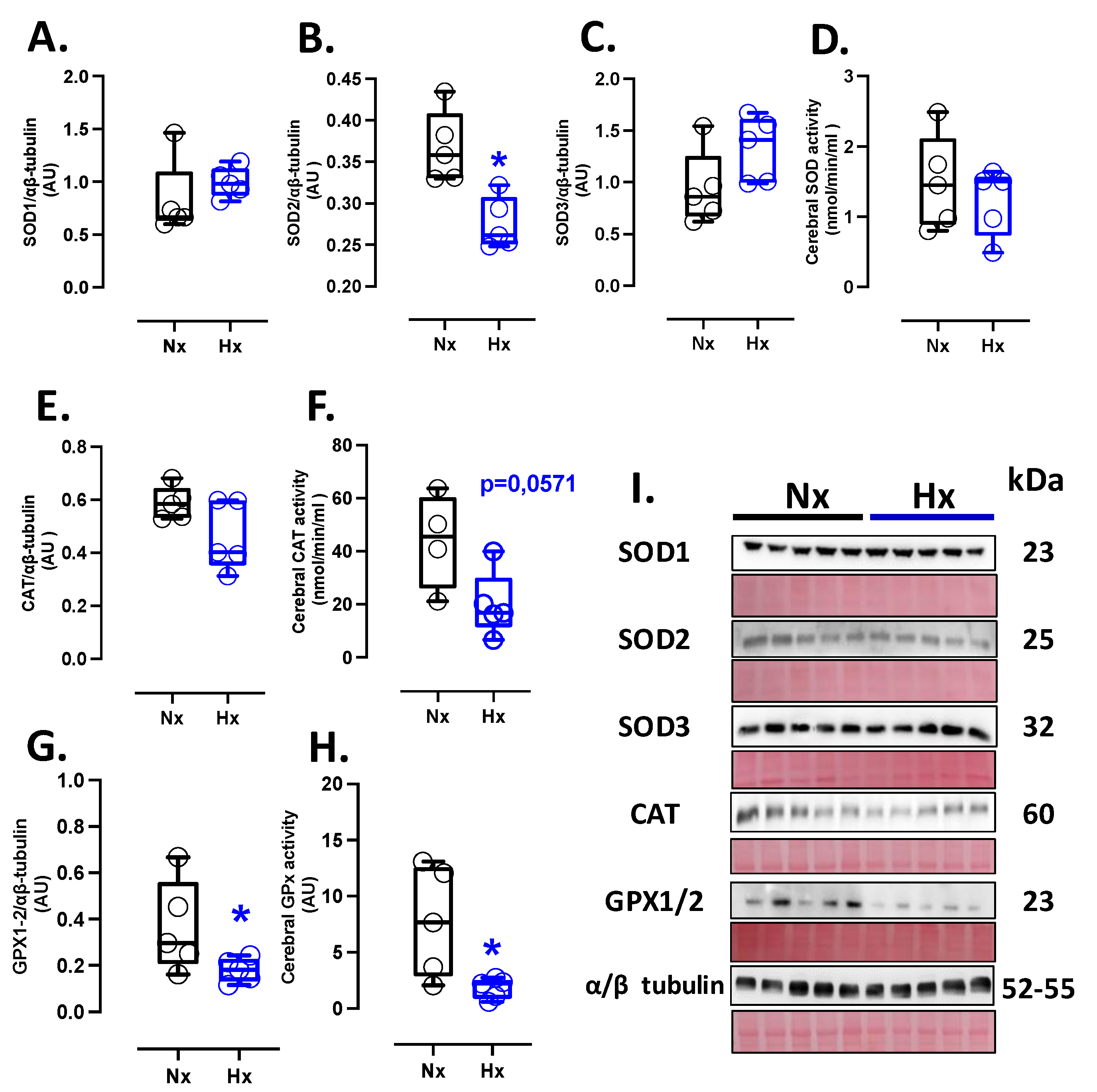 Preprints 156732 g001