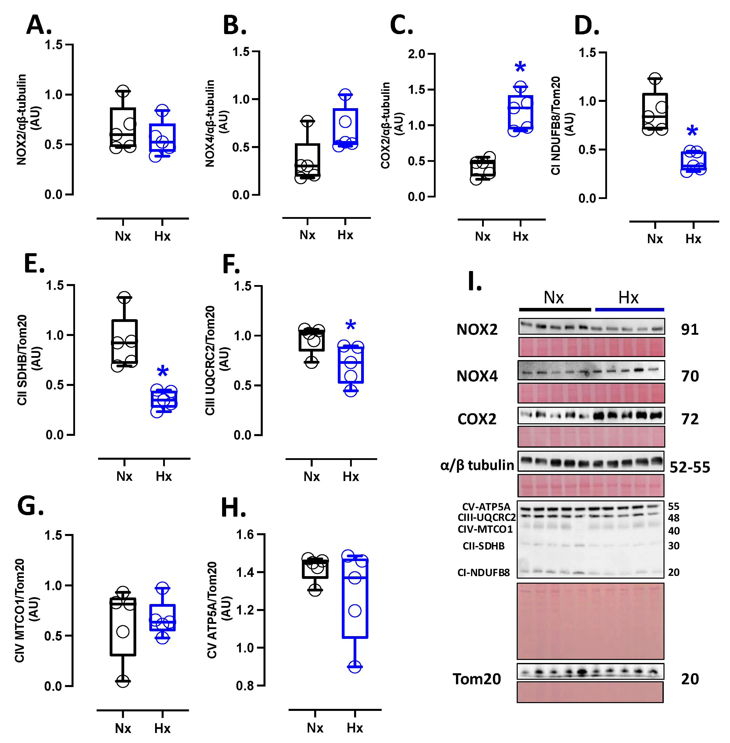 Preprints 156732 g002