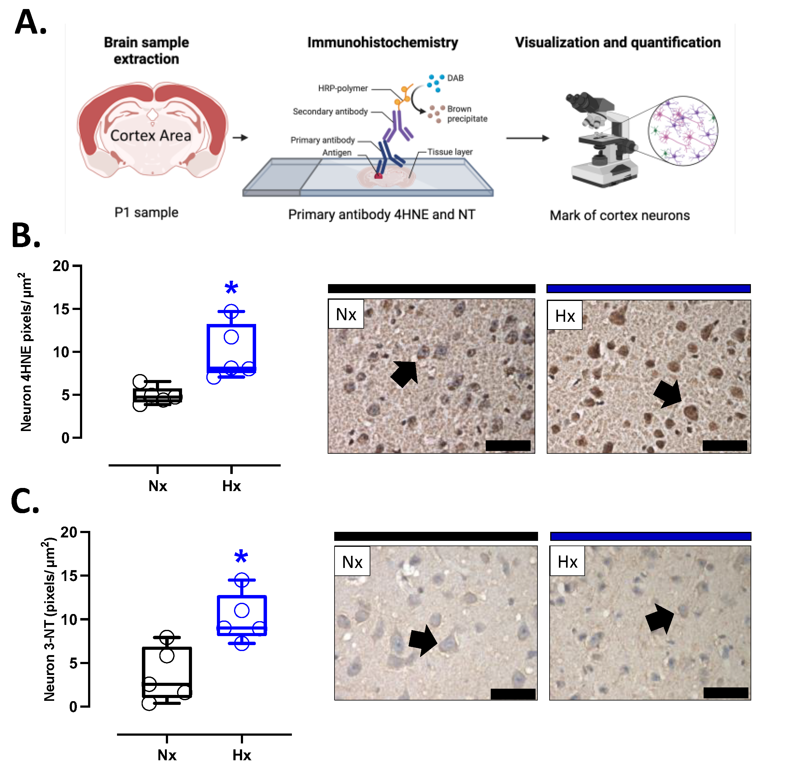 Preprints 156732 g003