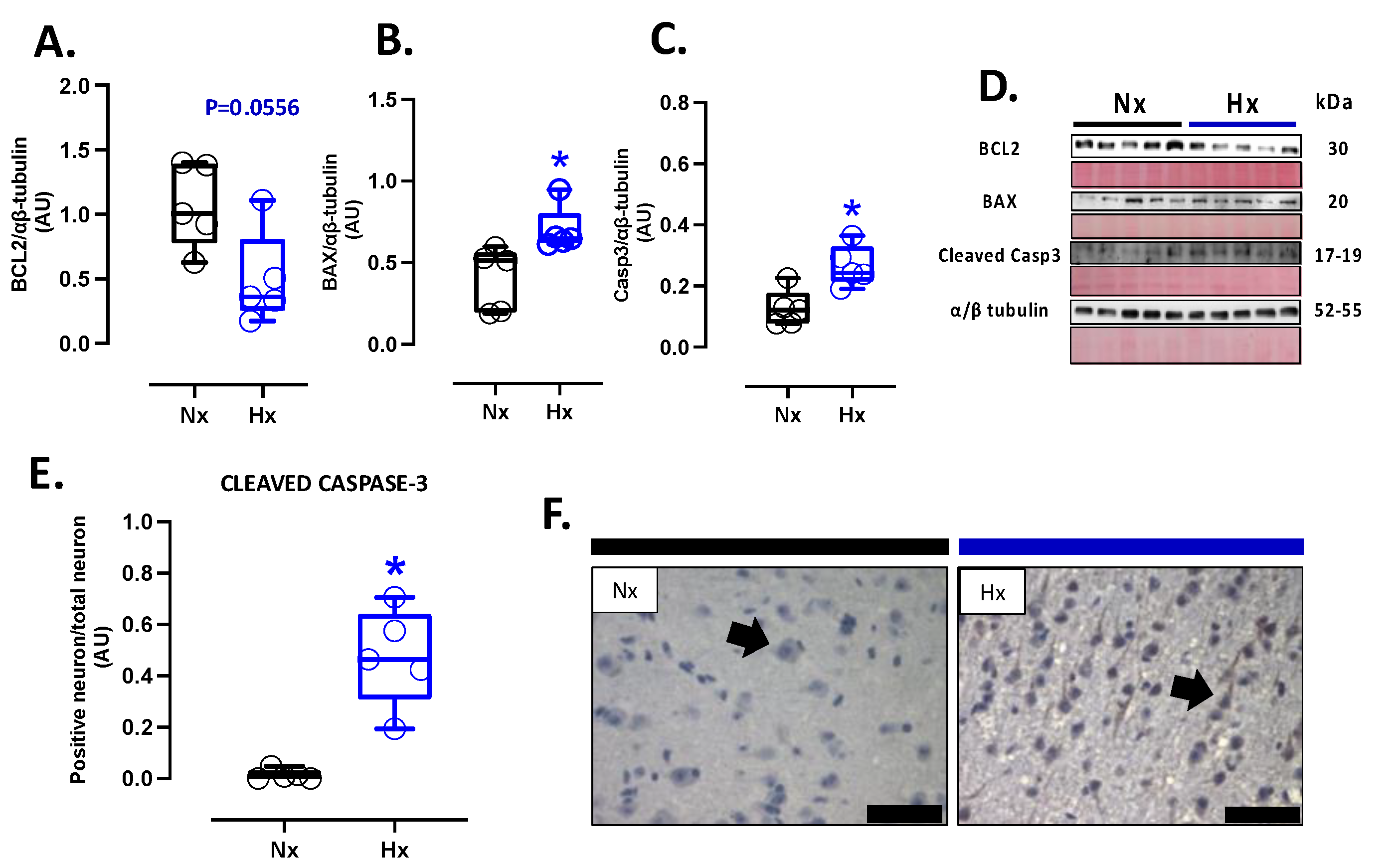 Preprints 156732 g005