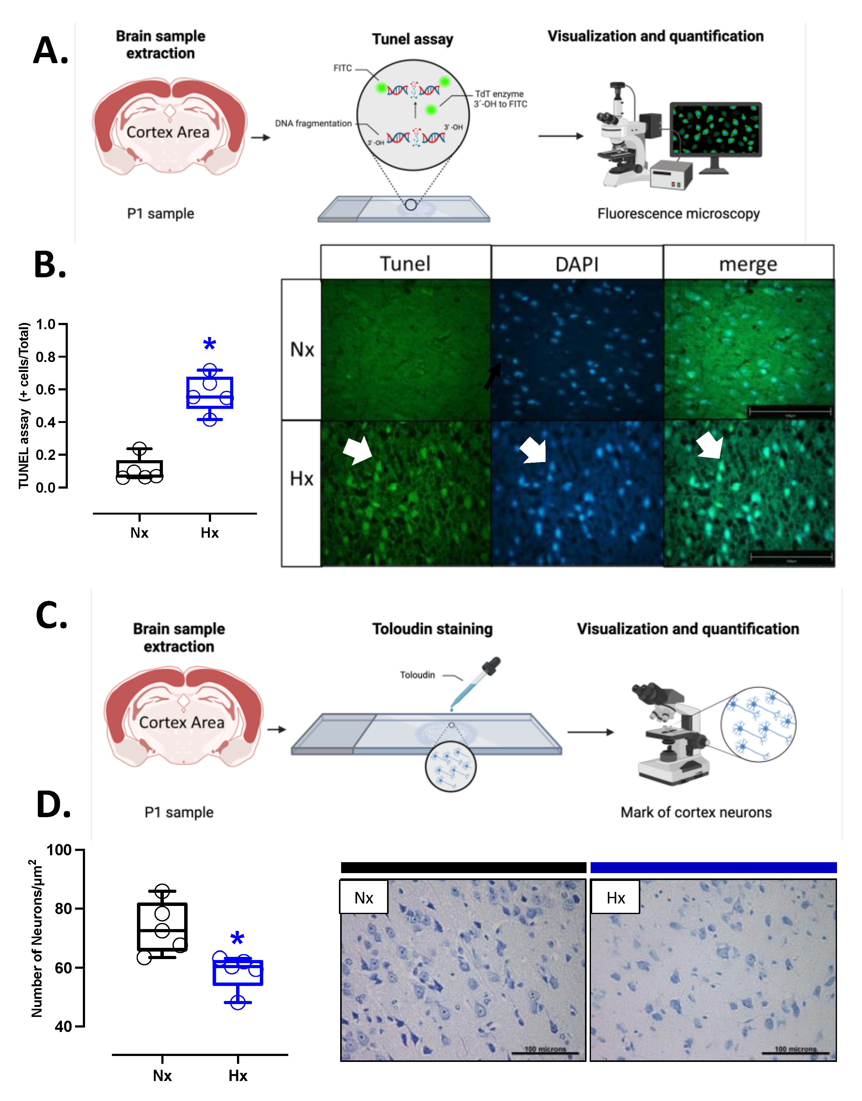 Preprints 156732 g006