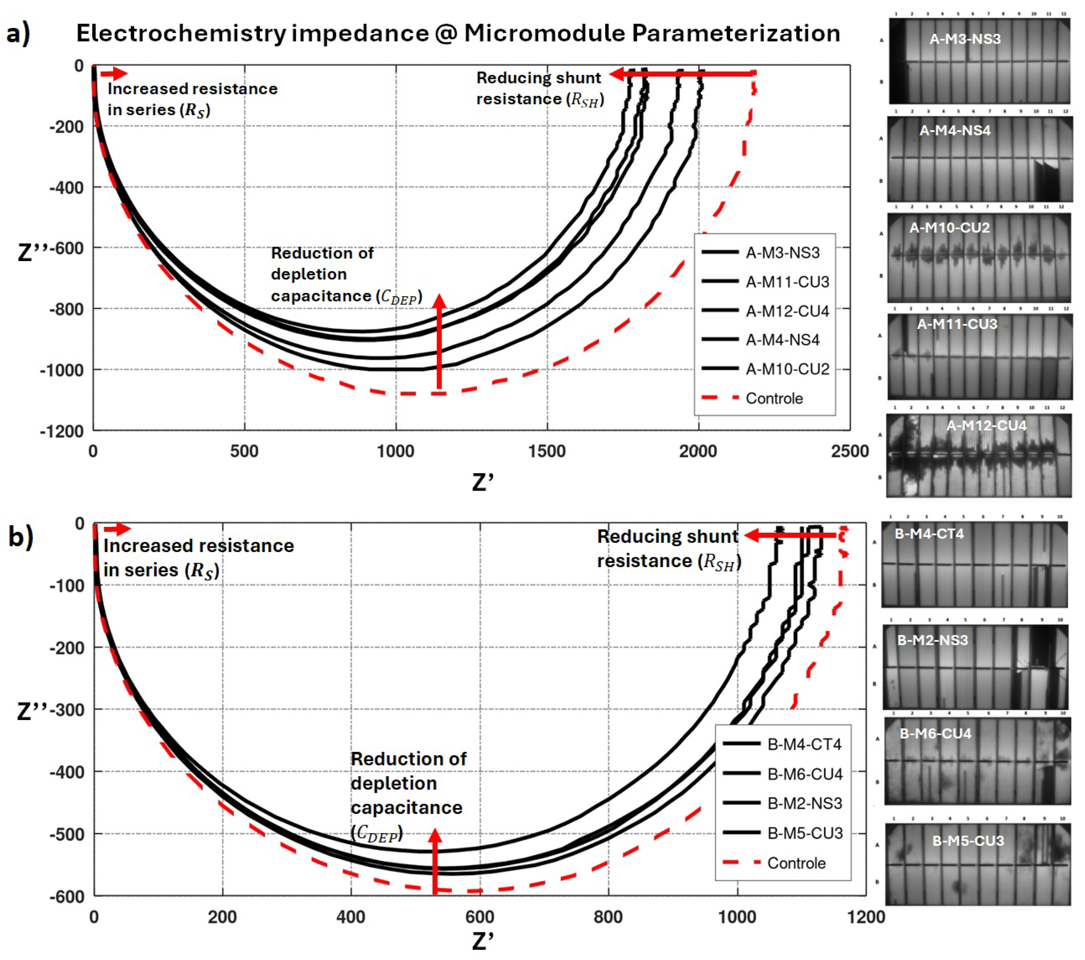 Preprints 194366 g006