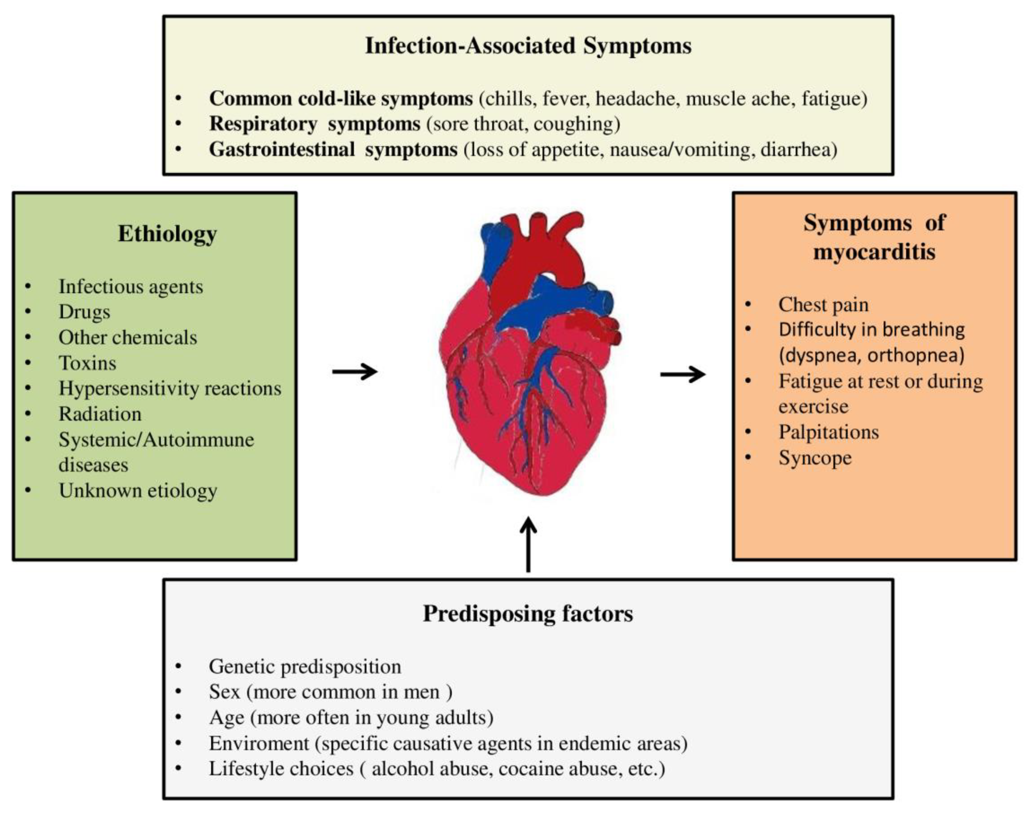 Preprints 84177 g001