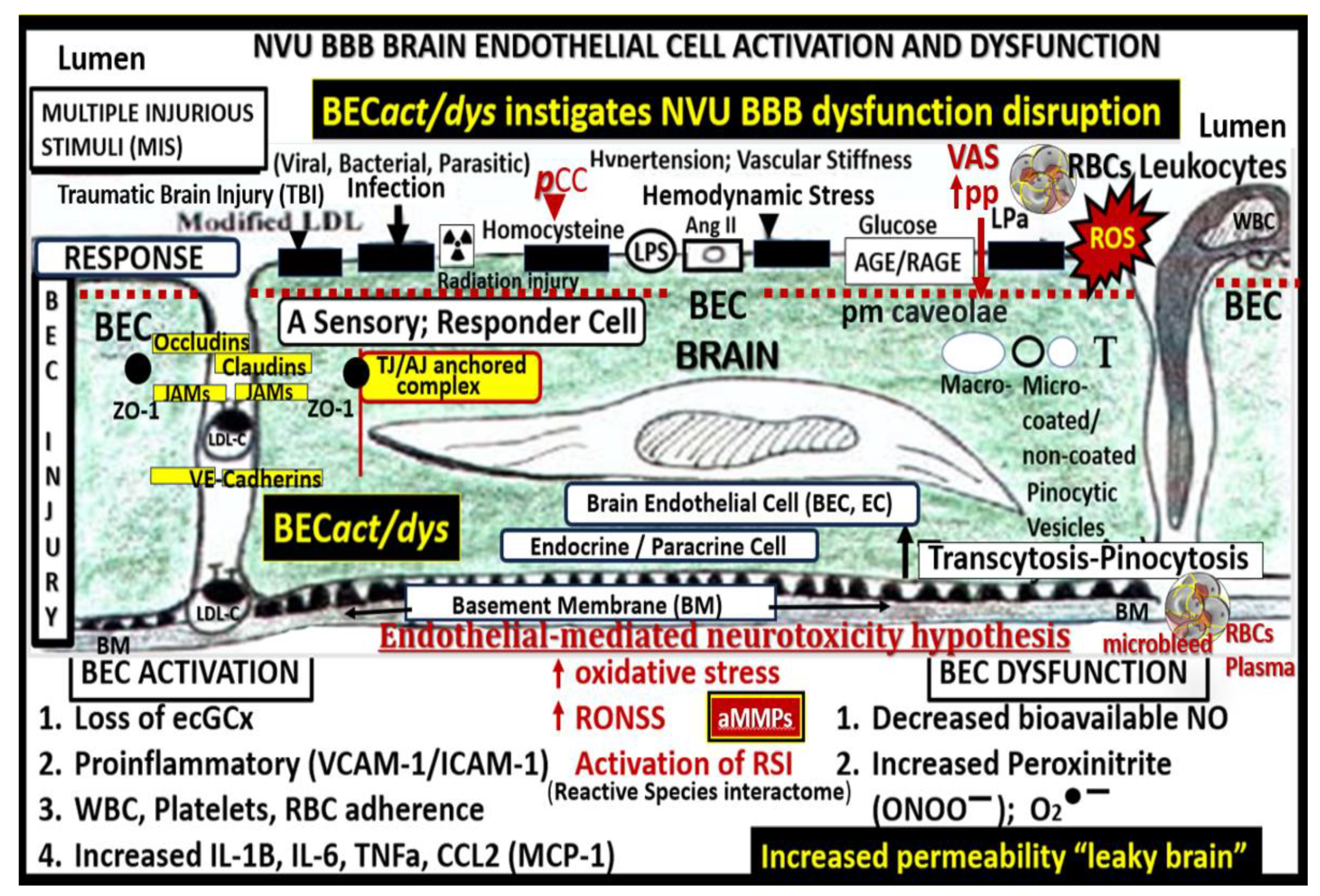 Preprints 150470 g001