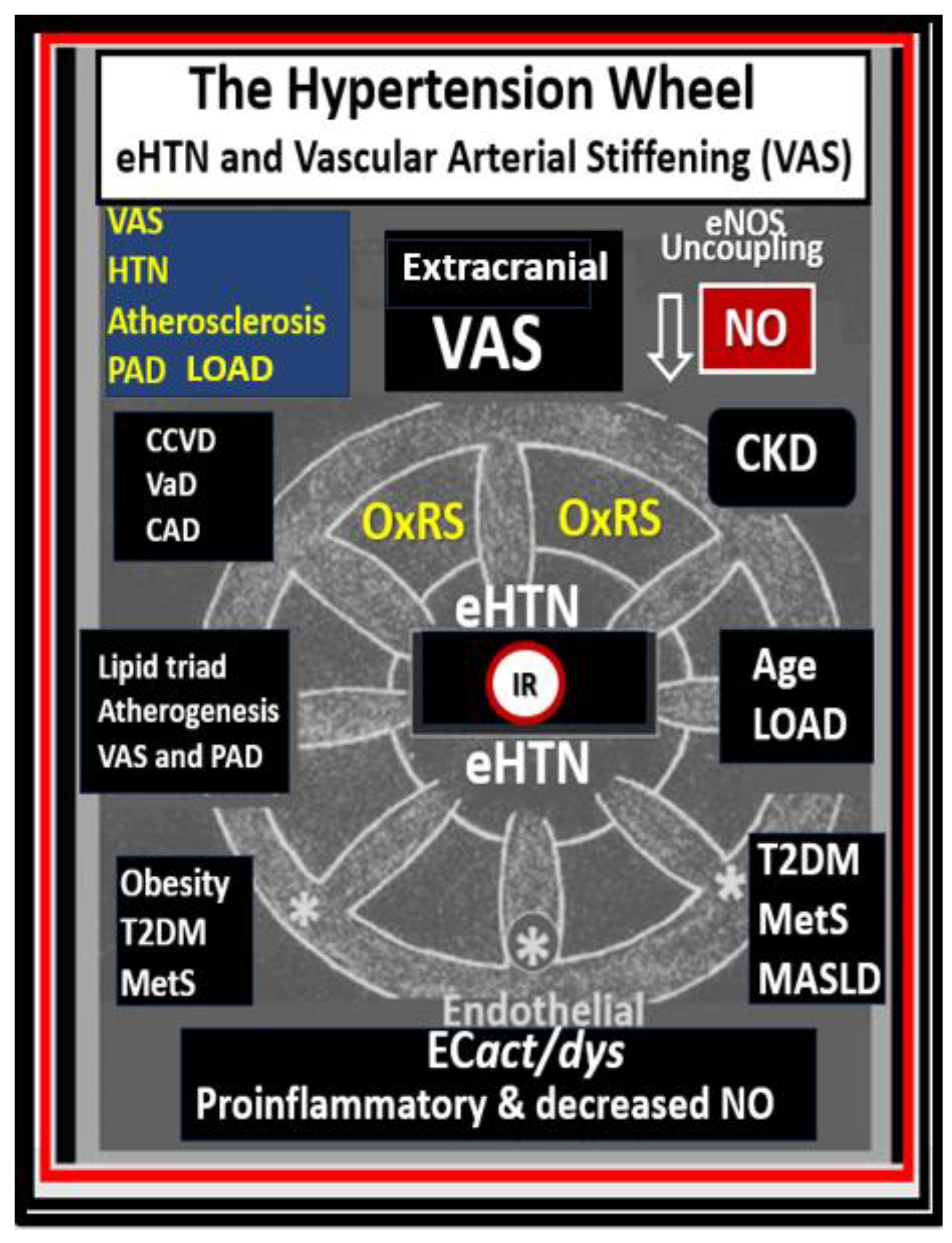 Preprints 150470 g003