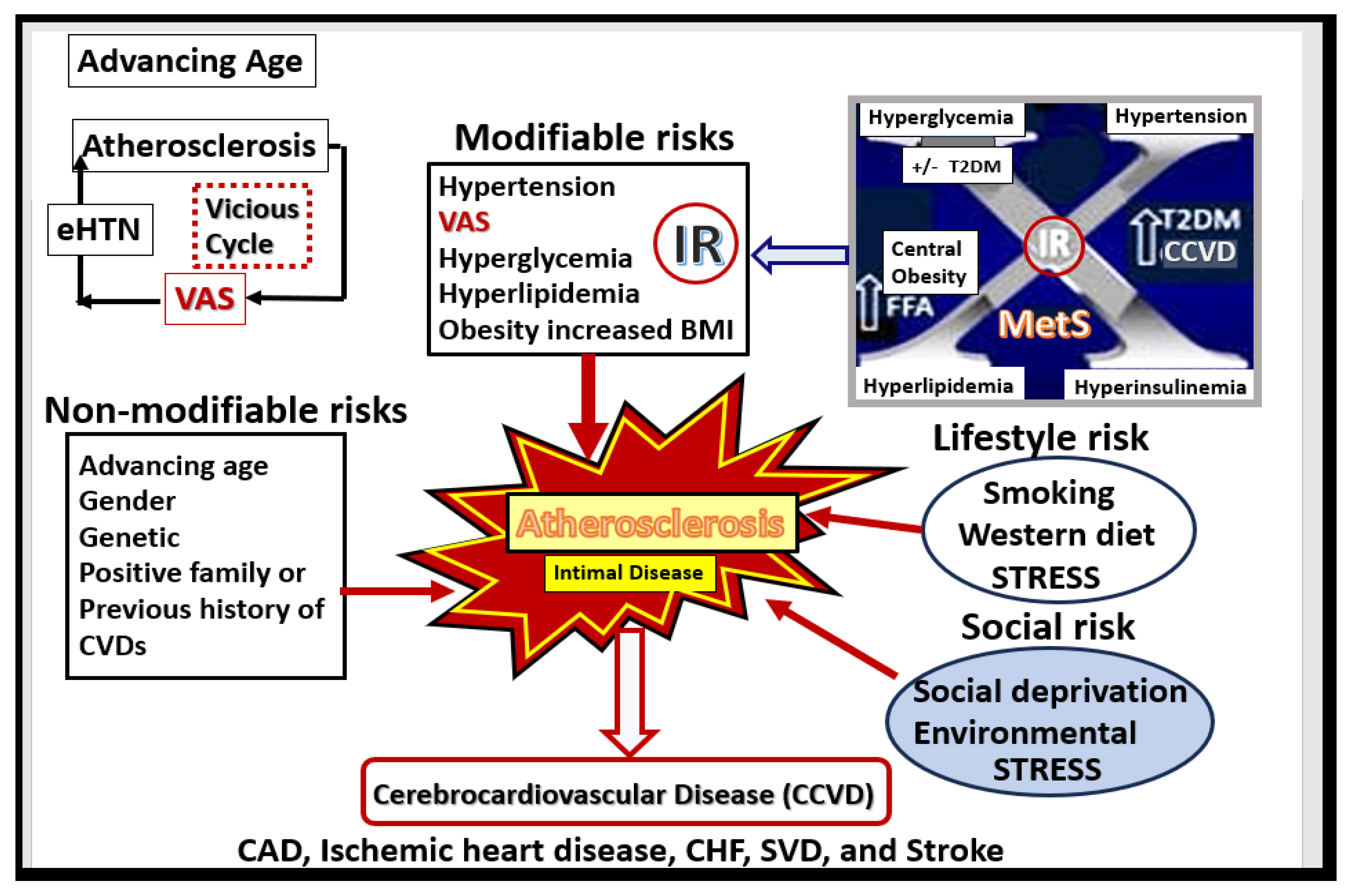 Preprints 150470 g004