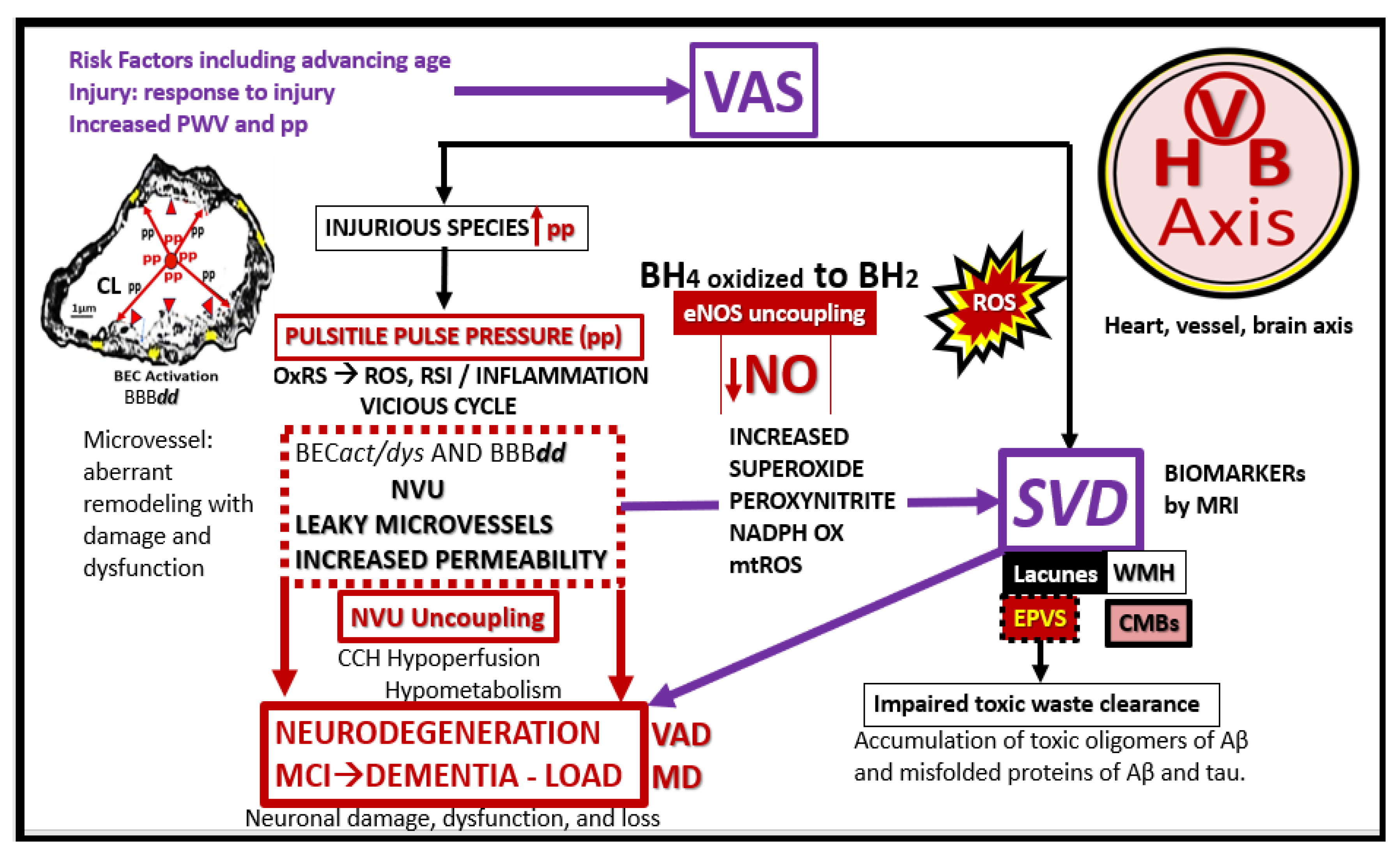 Preprints 150470 g017