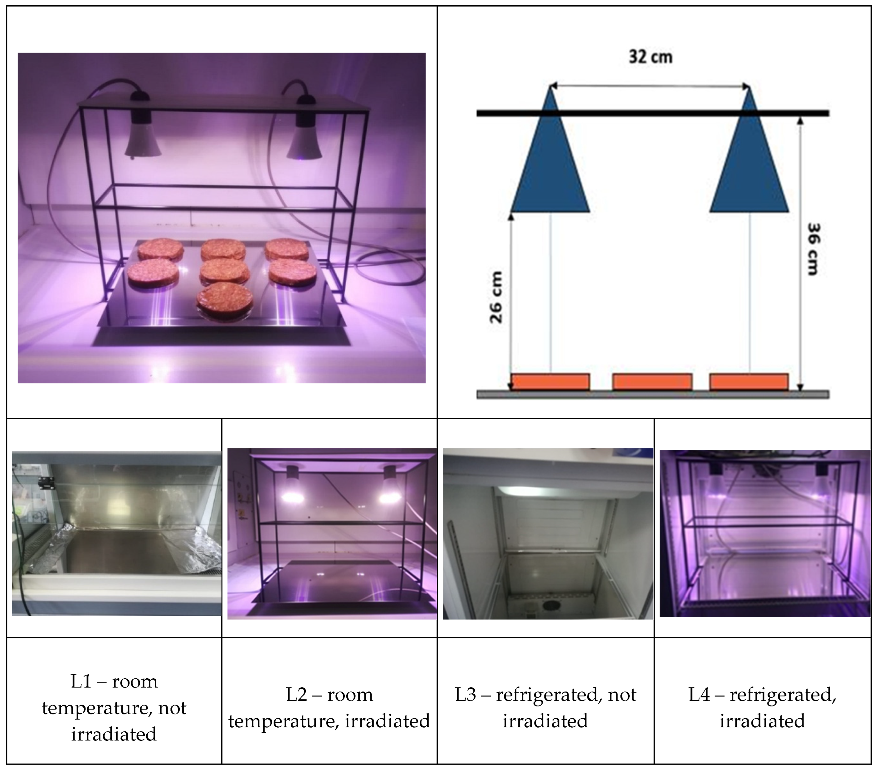 Preprints 195939 g002